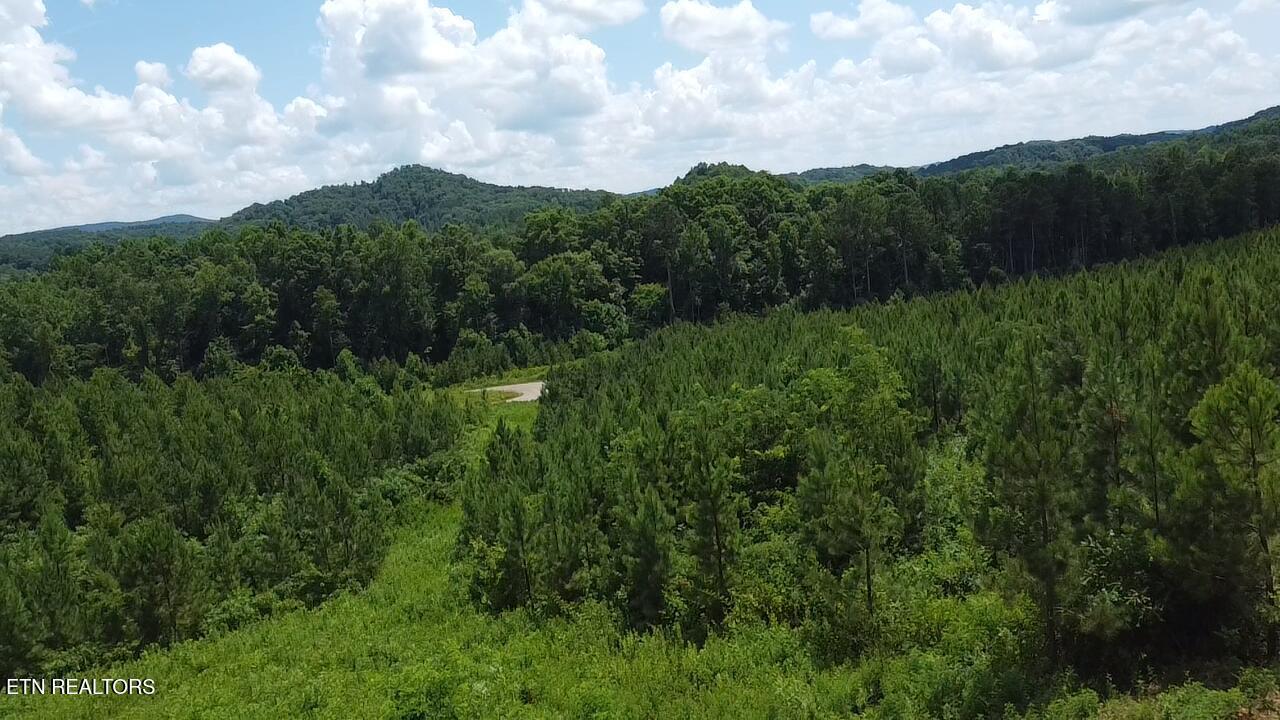 Fort Loudoun and Tellico Lake Real Estate - Image# 3