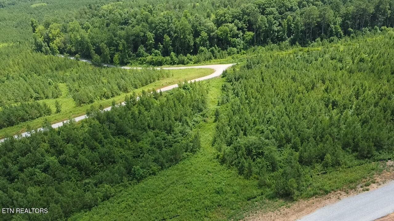 Fort Loudoun and Tellico Lake Real Estate - Image# 7