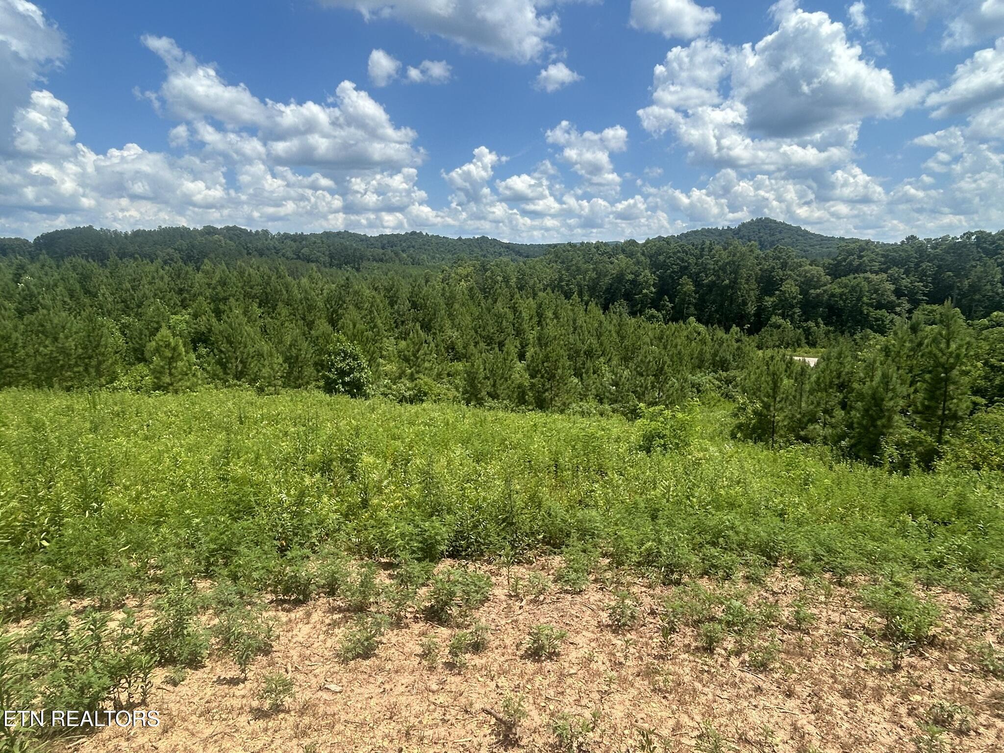 Fort Loudoun and Tellico Lake Real Estate - Image# 12