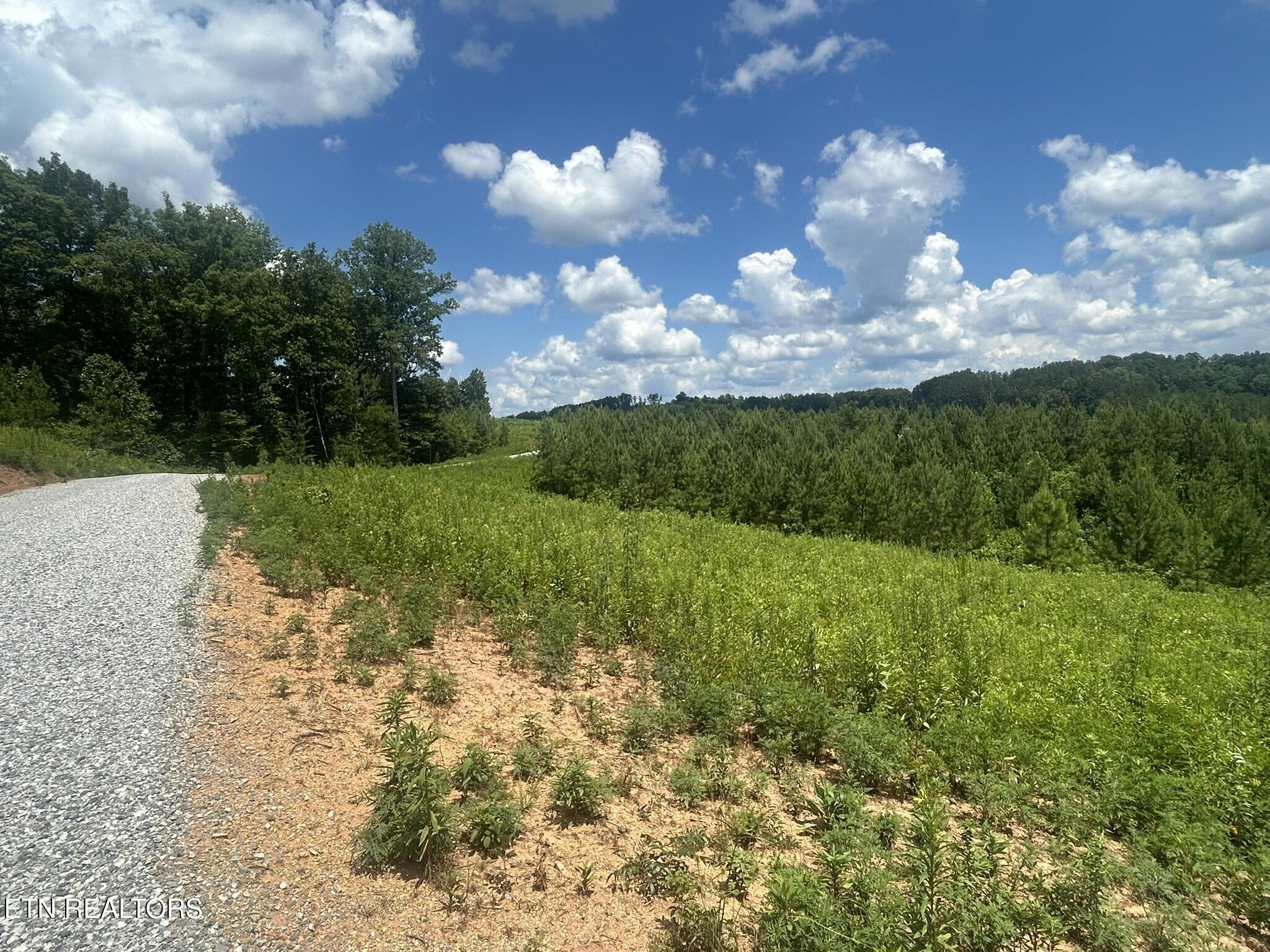 Fort Loudoun and Tellico Lake Real Estate - Image# 13