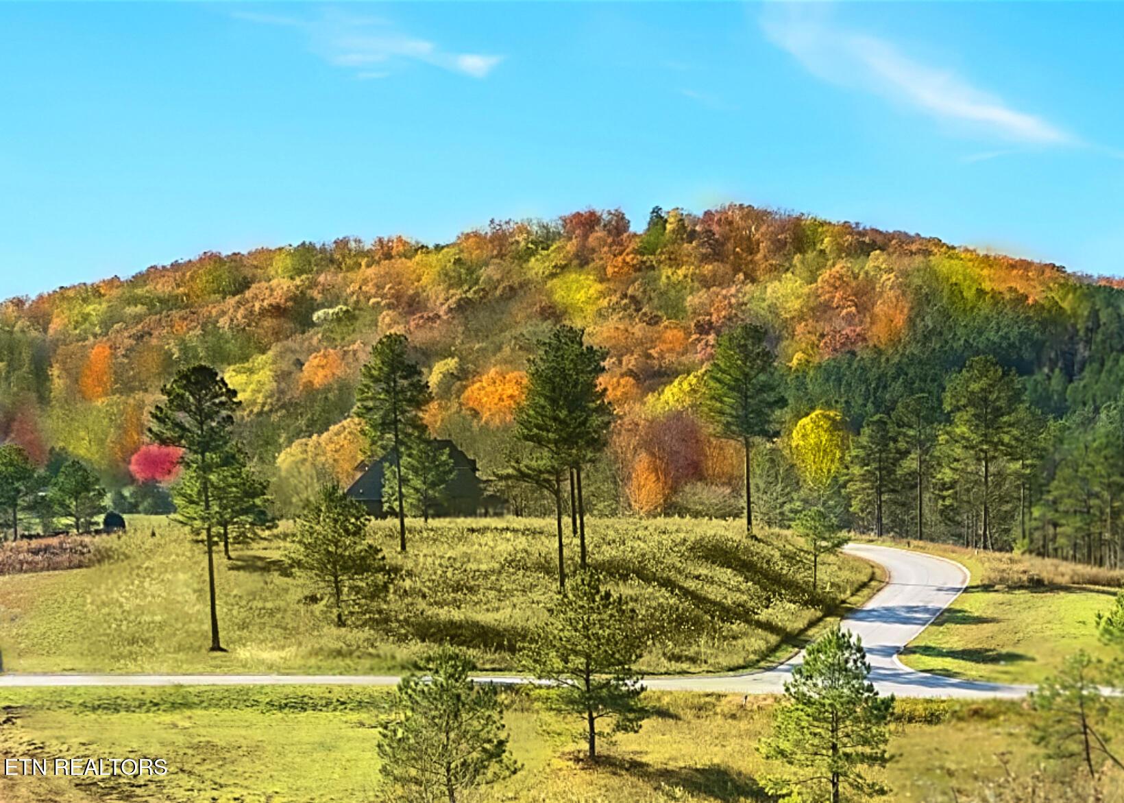 Fort Loudoun and Tellico Lake Real Estate - Image# 10