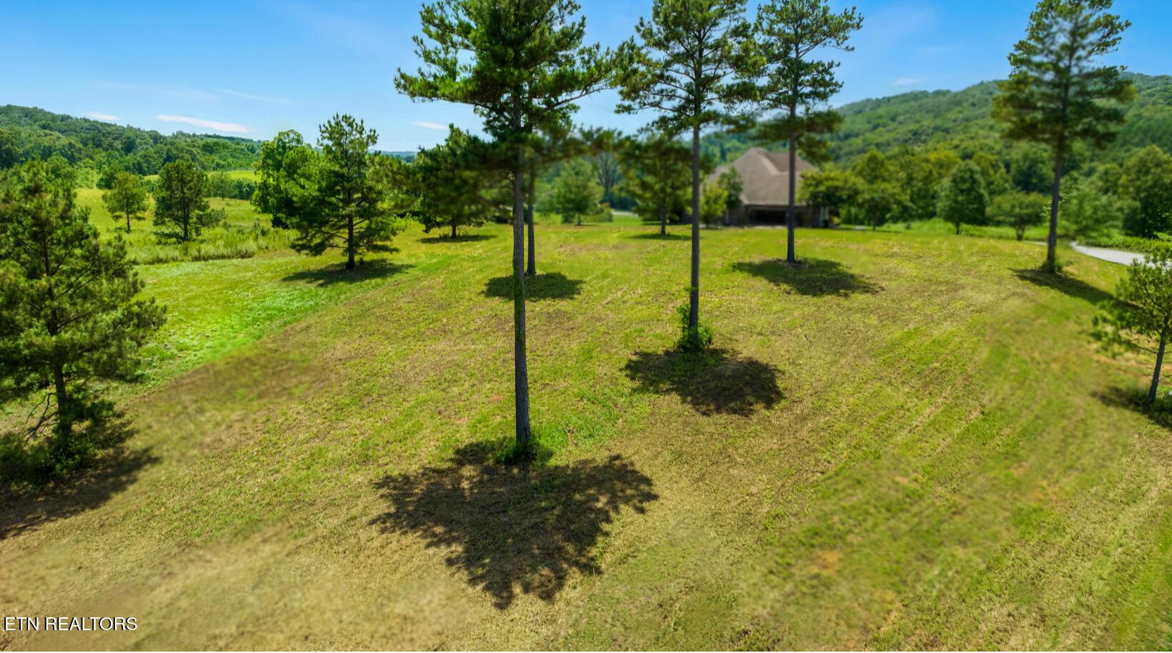 Fort Loudoun and Tellico Lake Real Estate - Image# 4