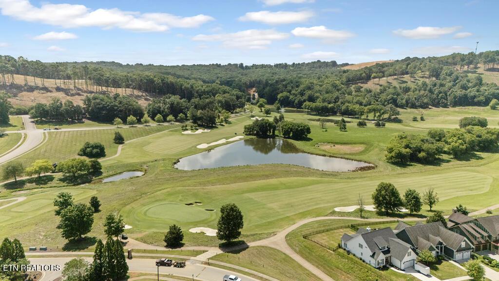 Fort Loudoun and Tellico Lake Real Estate - Image# 12