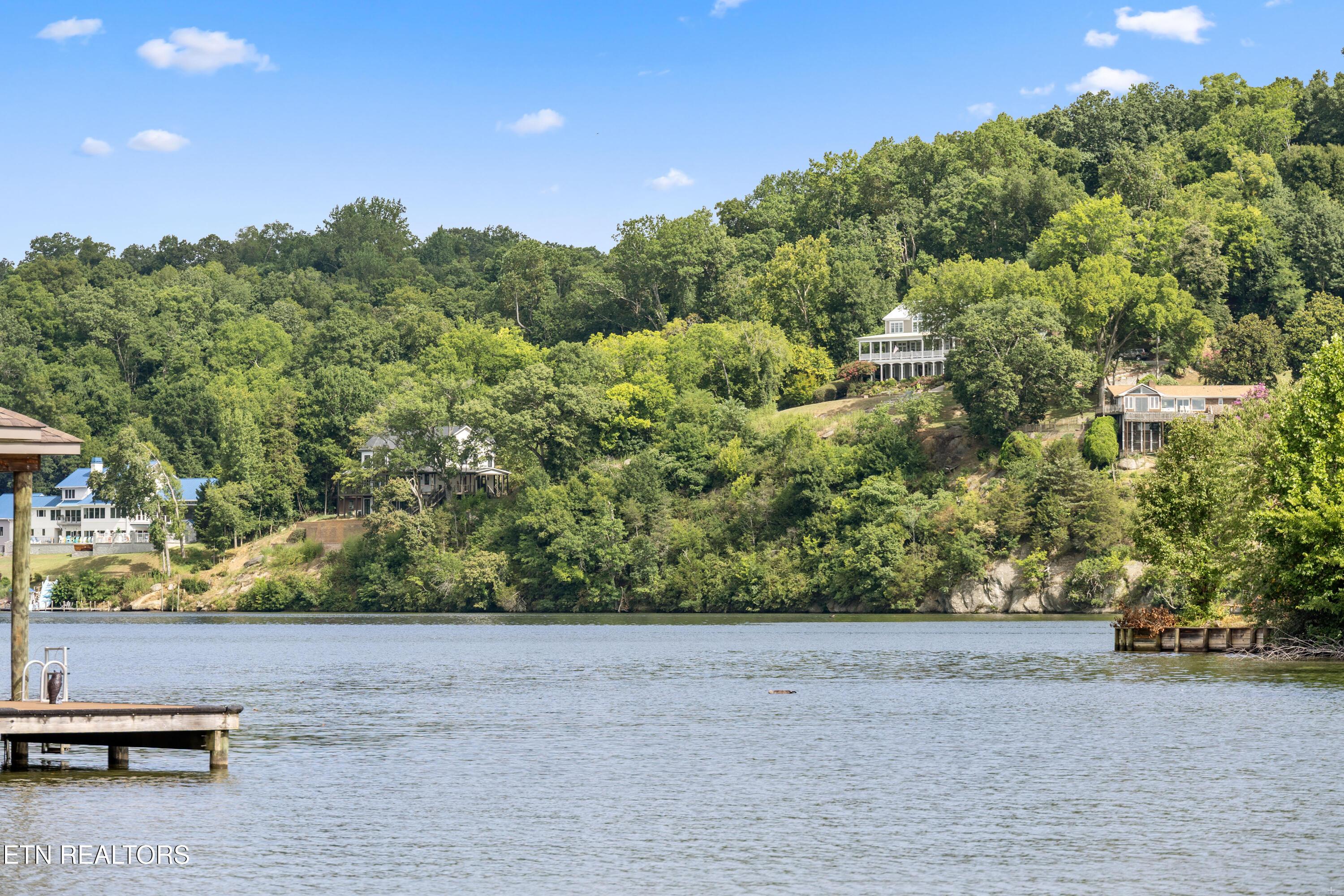 Fort Loudoun and Tellico Lake Real Estate - Image# 44