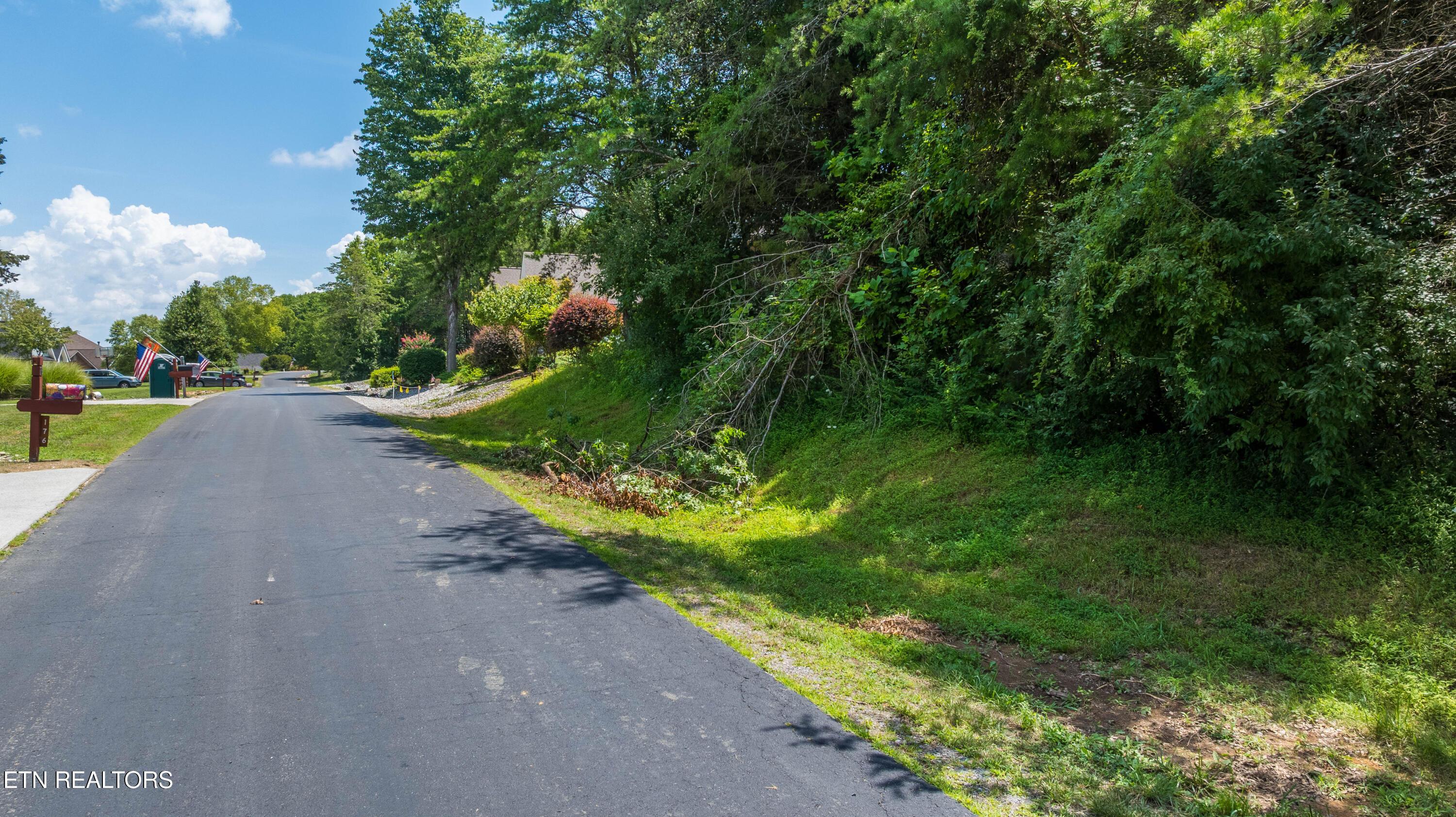 Ganega Trail, Vonore, TN - Fort Loudoun and Tellico Lake Real Estate - Image# 3