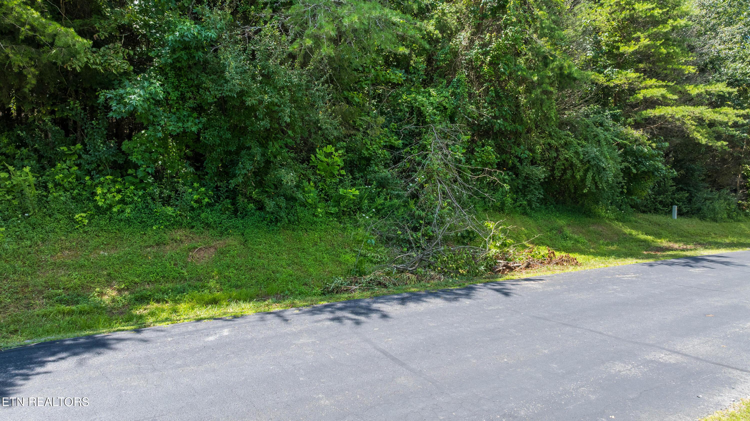Ganega Trail, Vonore, TN - Fort Loudoun and Tellico Lake Real Estate - Image# 23
