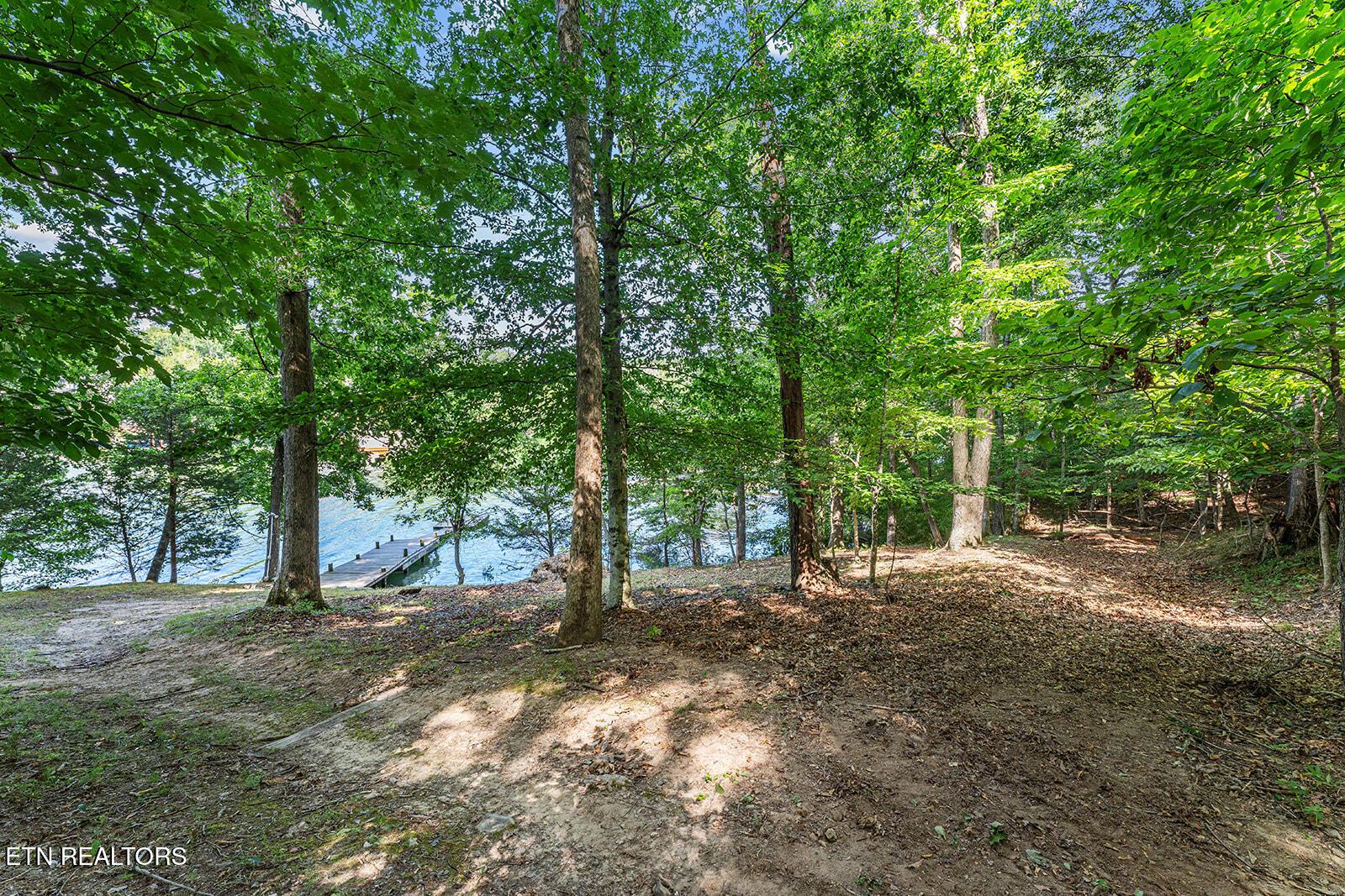 Fort Loudoun and Tellico Lake Real Estate - Image# 49