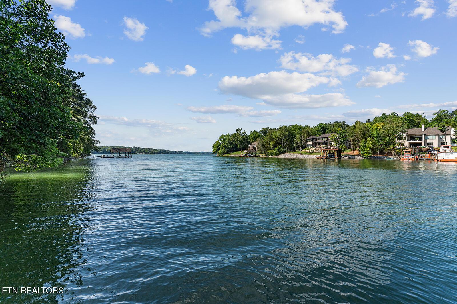 Fort Loudoun and Tellico Lake Real Estate - Image# 60