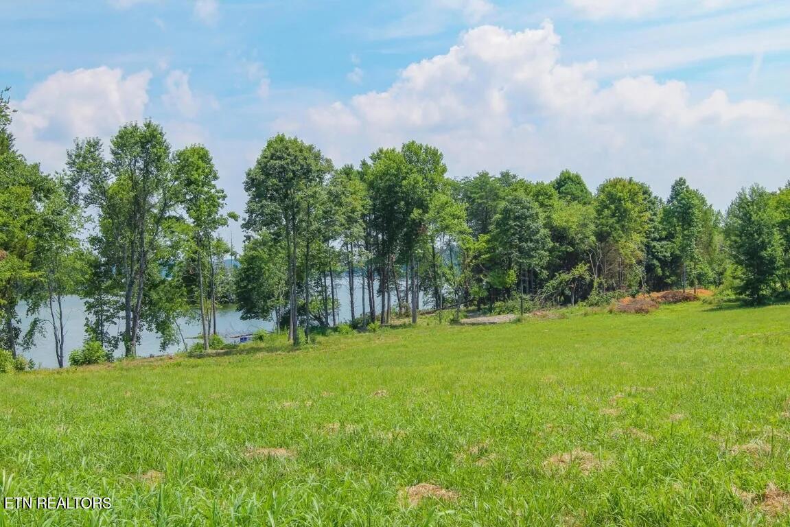 Fort Loudoun and Tellico Lake Real Estate - Image# 1