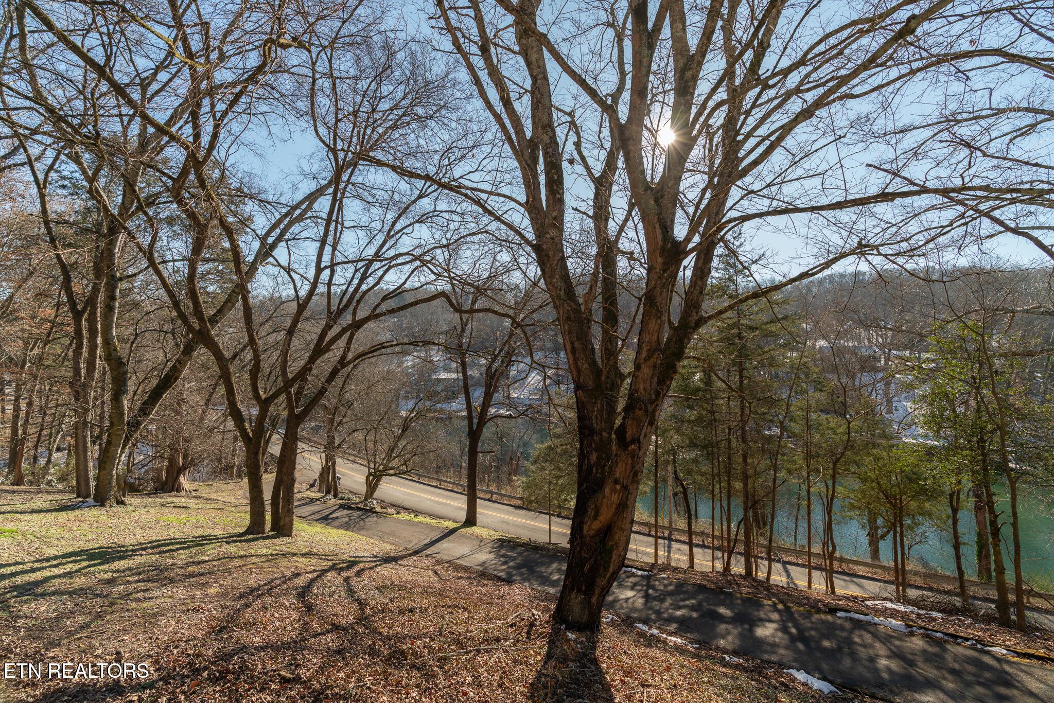 Fort Loudoun and Tellico Lake Real Estate - Image# 41
