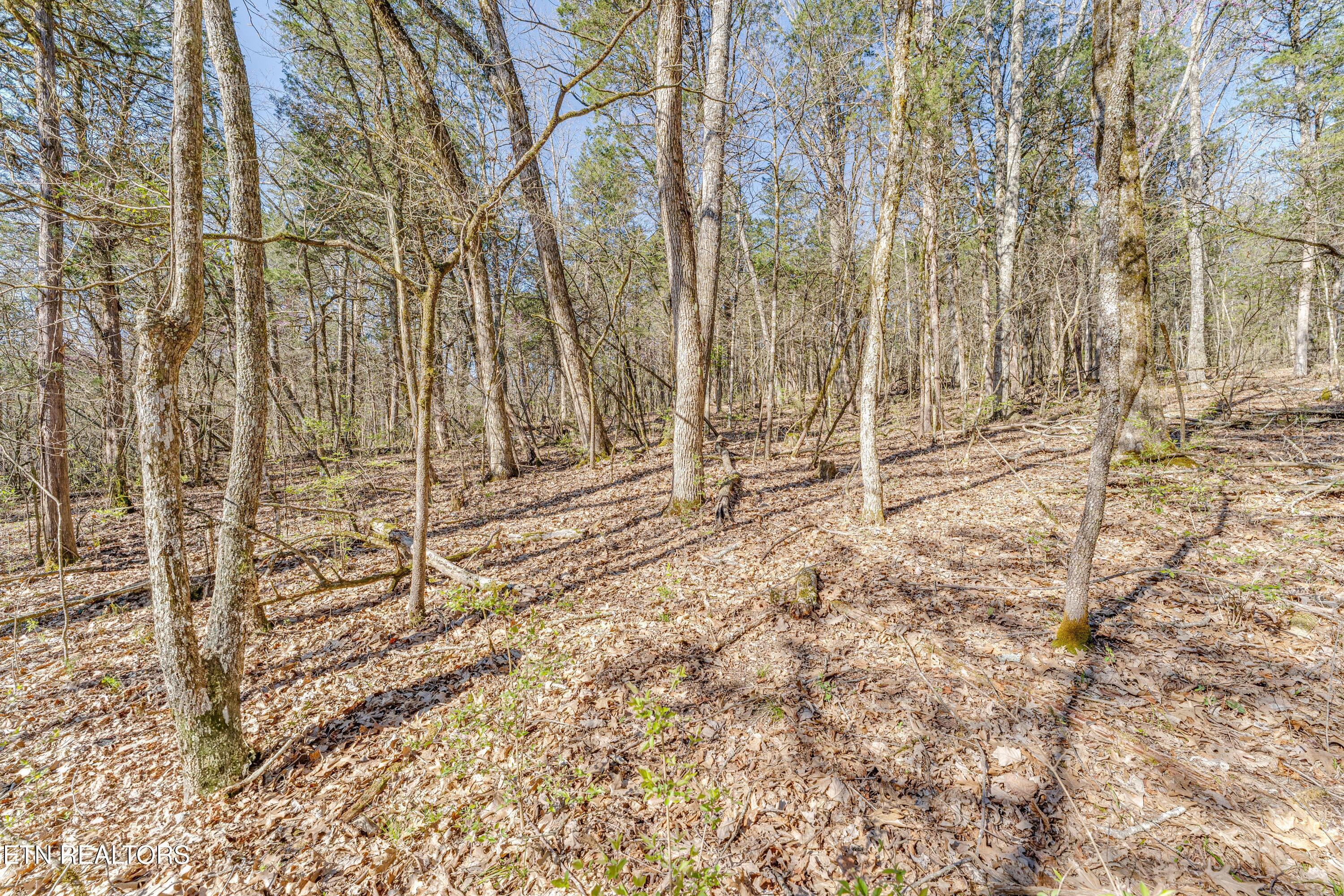 3725 Haven Hill Rd, Louisville, TN - Fort Loudoun and Tellico Lake Real Estate - Image# 29