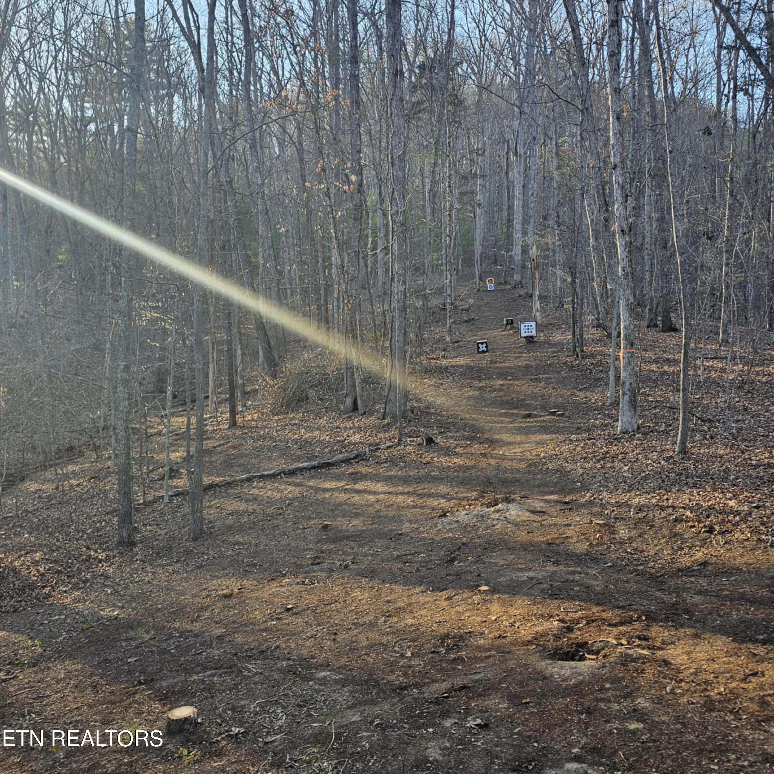 165 Tucker Lane, Lenoir City, TN - Fort Loudoun and Tellico Lake Real Estate - Image# 52