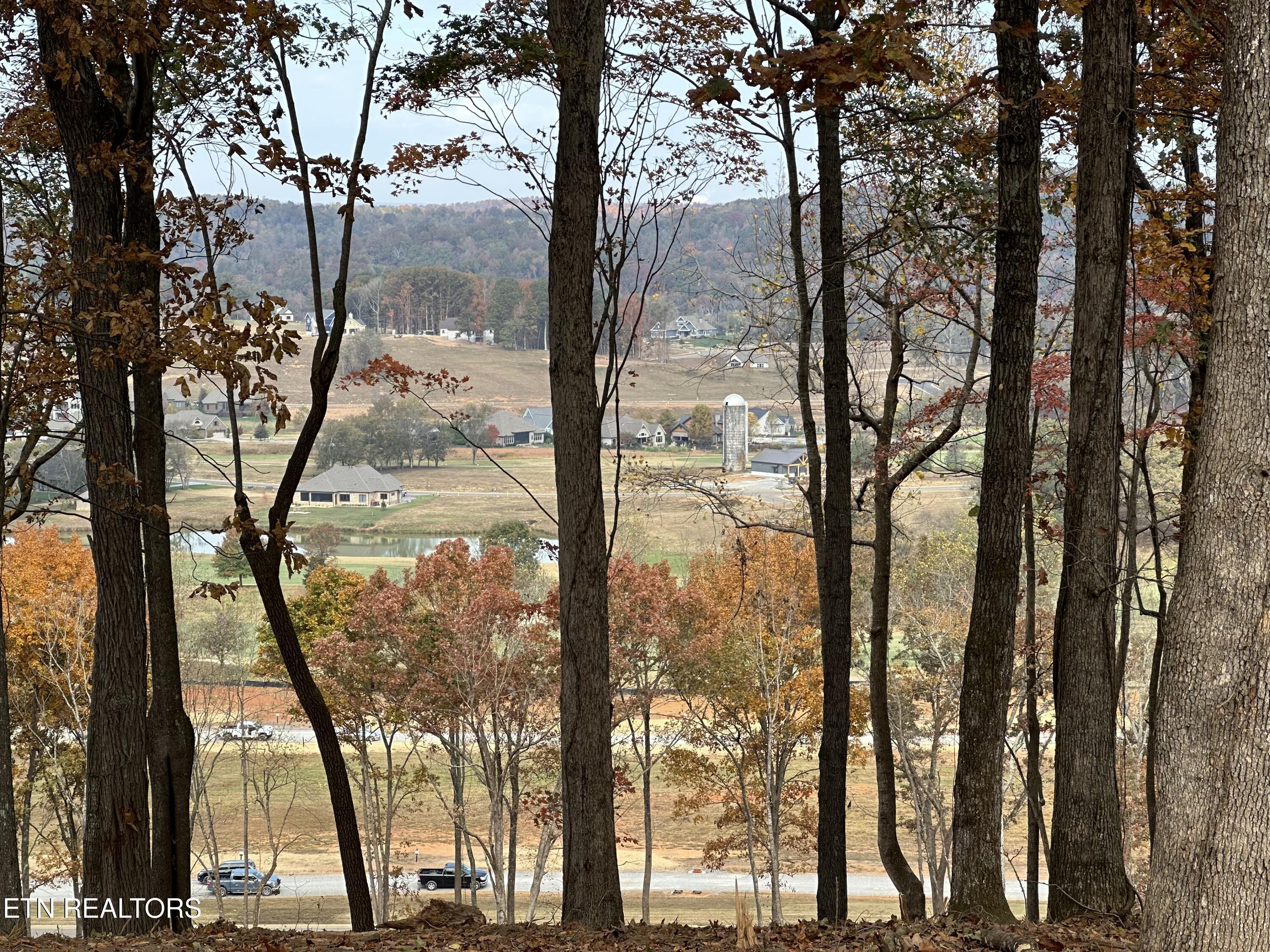 3745 Old Dogwood Tr, Loudon, TN - Fort Loudoun and Tellico Lake Real Estate - Image# 22