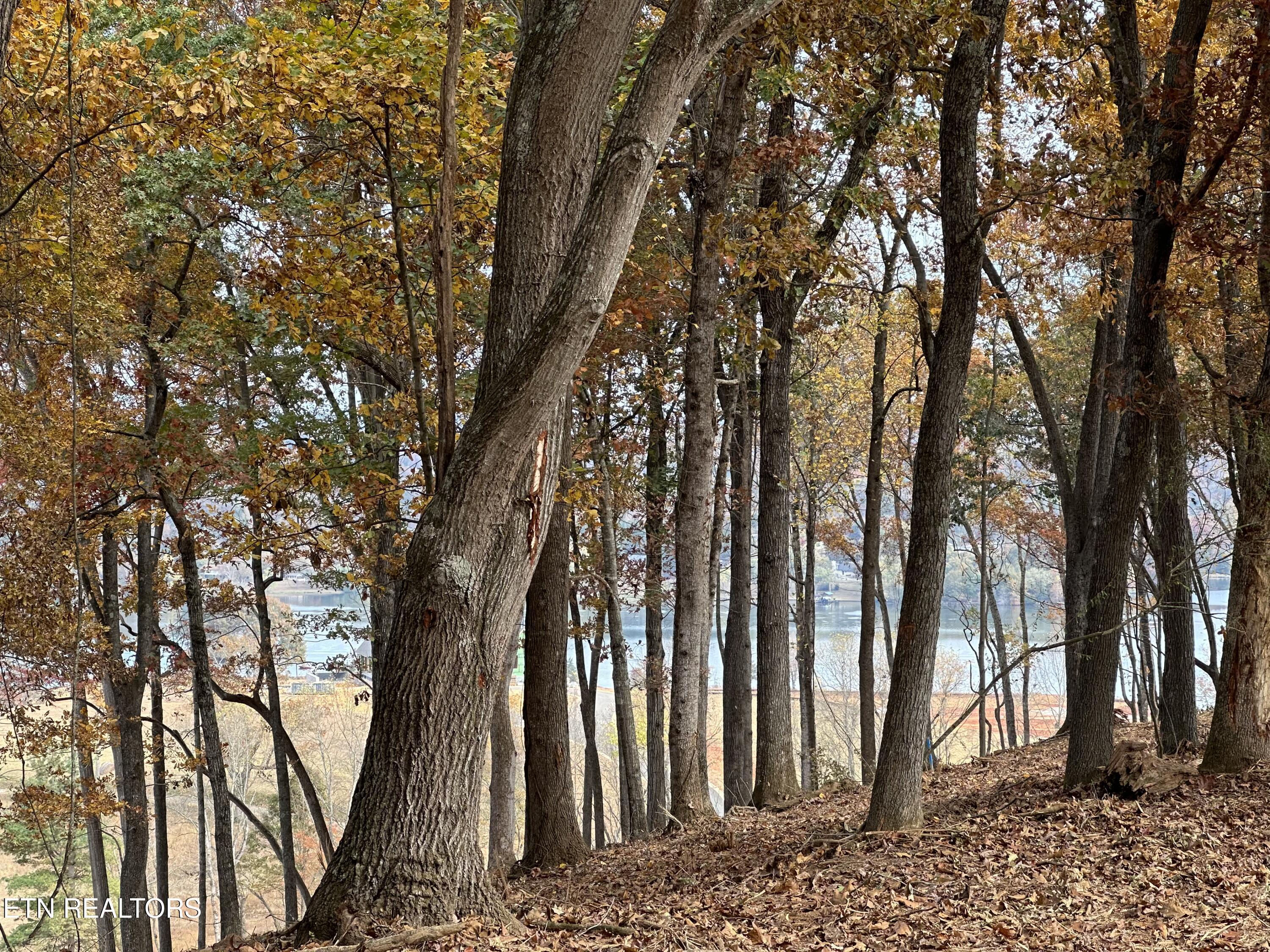 3745 Old Dogwood Tr, Loudon, TN - Fort Loudoun and Tellico Lake Real Estate - Image# 23