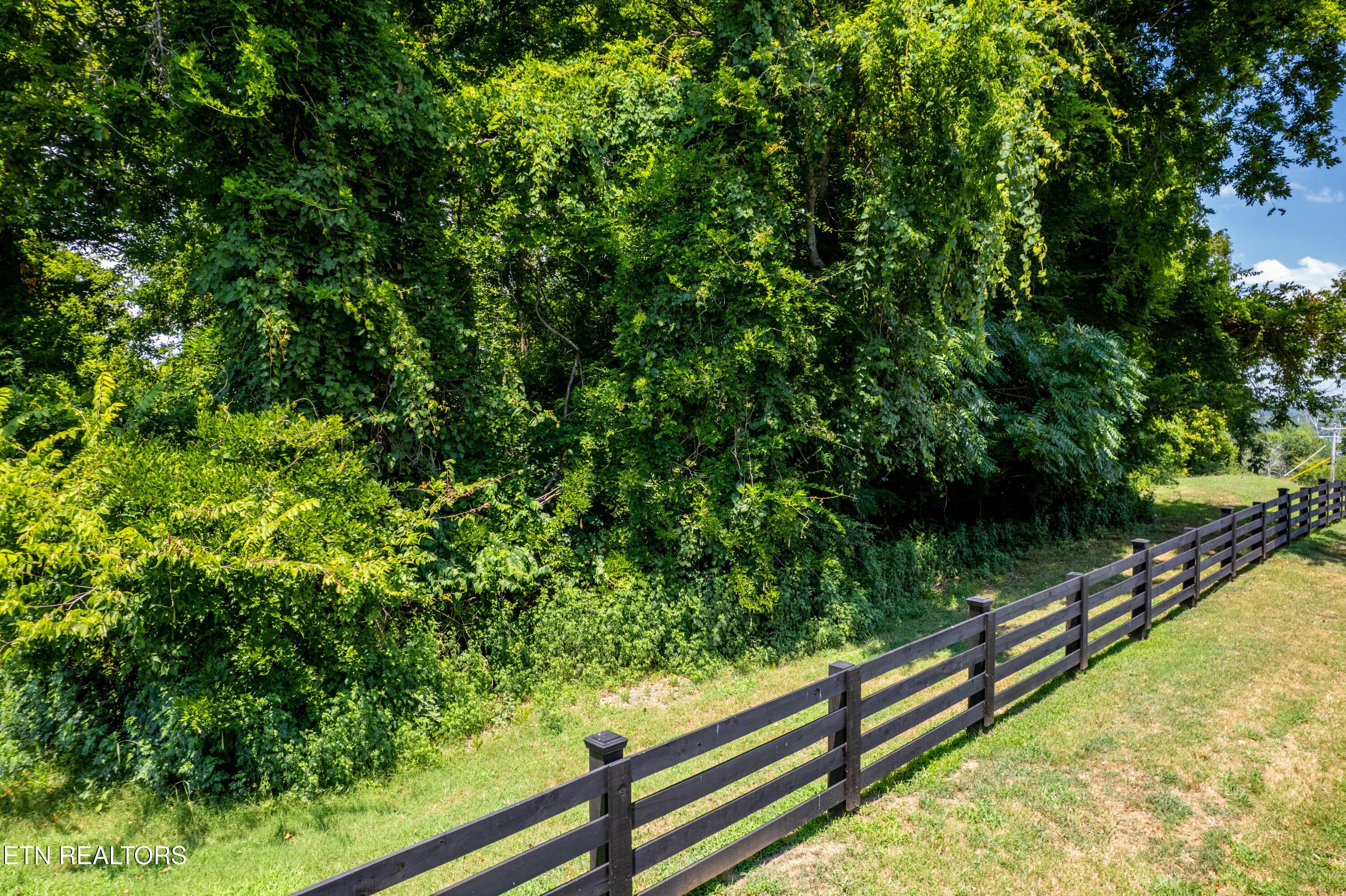 Lot 11 Rankin Ferry Loop, Louisville, TN - Fort Loudoun and Tellico Lake Real Estate - Image# 4