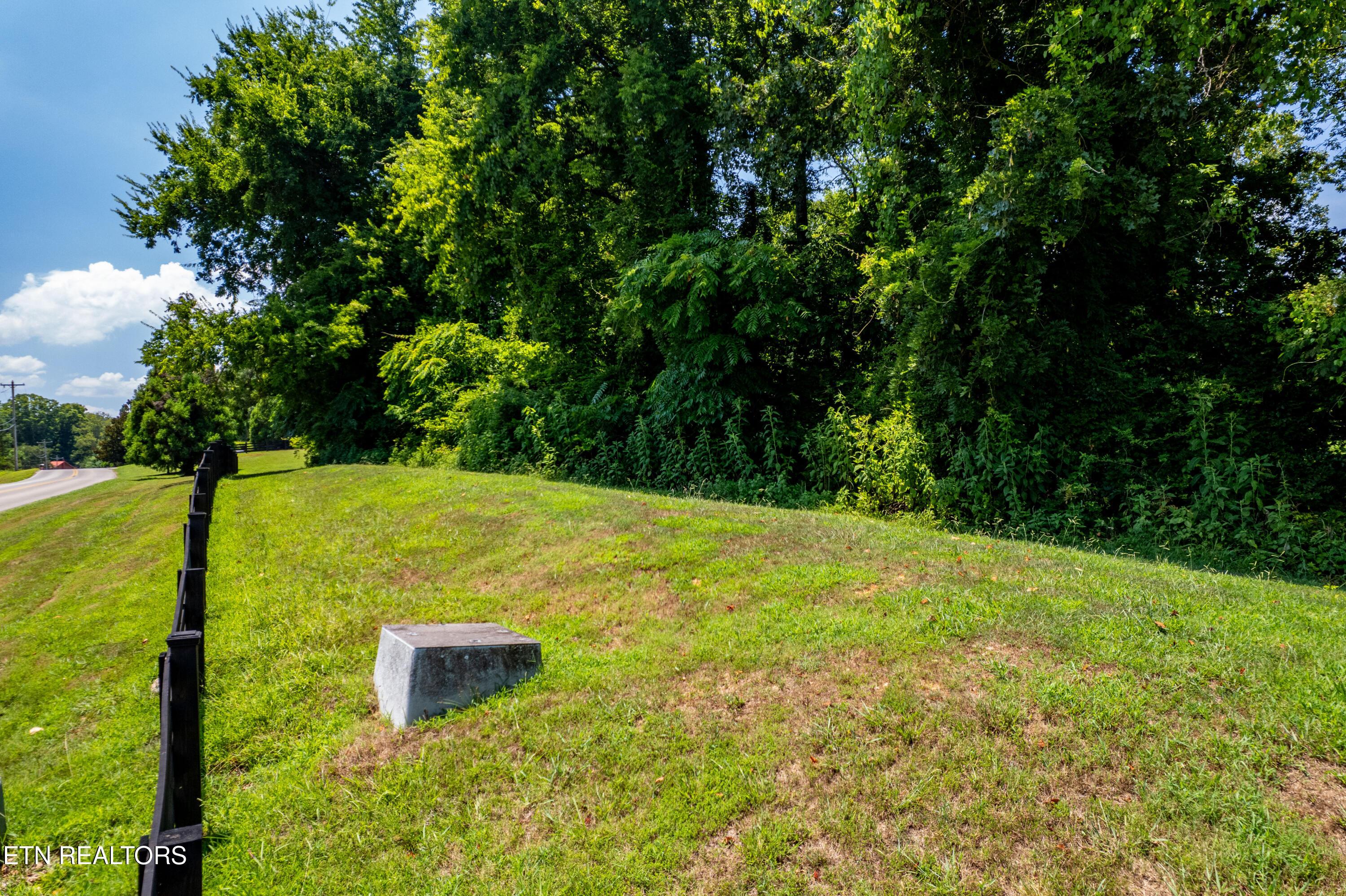 Lot 11 Rankin Ferry Loop, Louisville, TN - Fort Loudoun and Tellico Lake Real Estate - Image# 14
