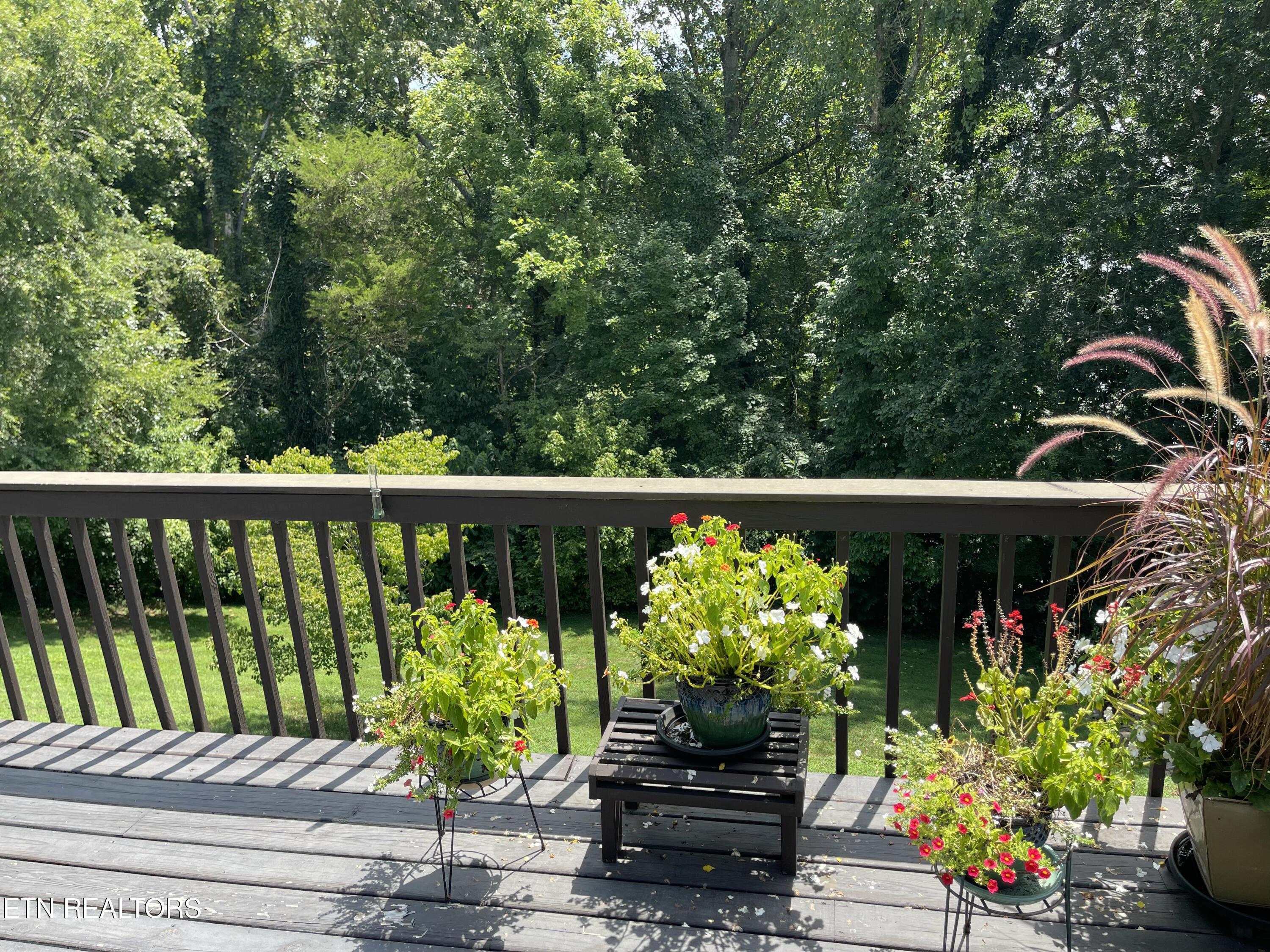 255 Chatuga Way, Loudon, TN - Fort Loudoun and Tellico Lake Real Estate - Image# 11