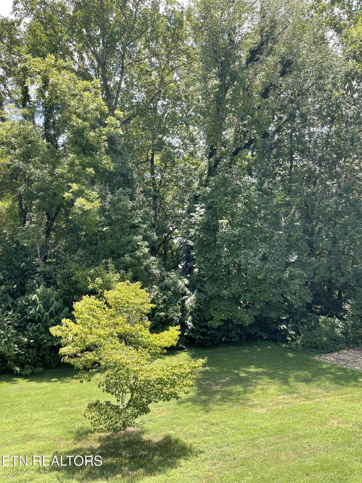 255 Chatuga Way, Loudon, TN - Fort Loudoun and Tellico Lake Real Estate - Image# 14
