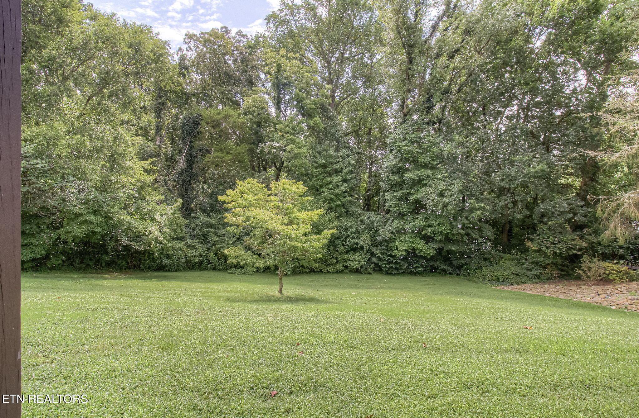 Fort Loudoun and Tellico Lake Real Estate - Image# 62