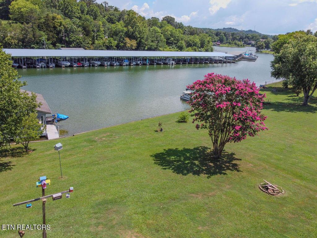328 Lakeside Drive, Friendsville, TN - Fort Loudoun and Tellico Lake Real Estate - Image# 45