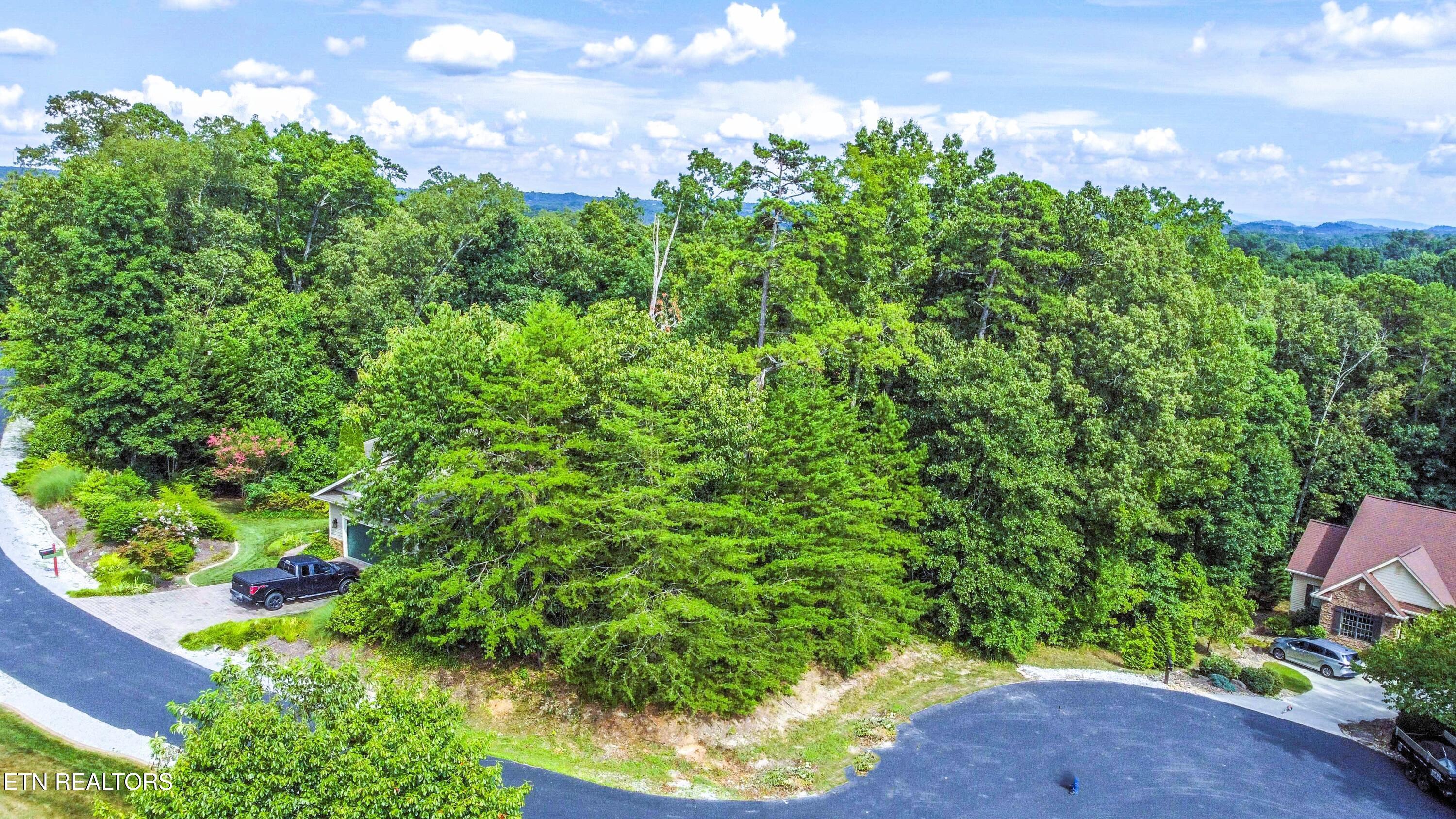 205 Seminole View, Loudon, TN - Fort Loudoun and Tellico Lake Real Estate - Image# 7