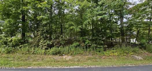 348 Dudala Way, Loudon, TN - Fort Loudoun and Tellico Lake Real Estate - Image# 5