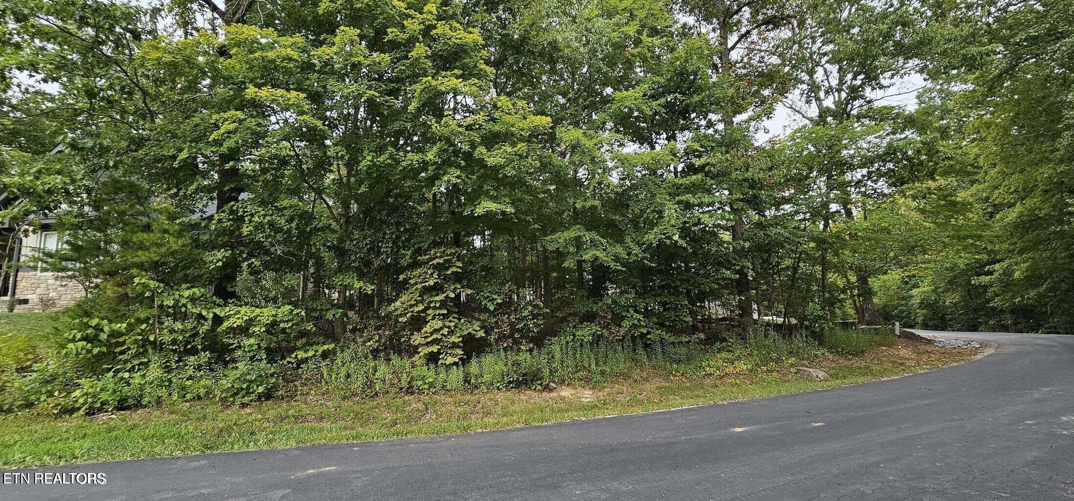 348 Dudala Way, Loudon, TN - Fort Loudoun and Tellico Lake Real Estate - Image# 9