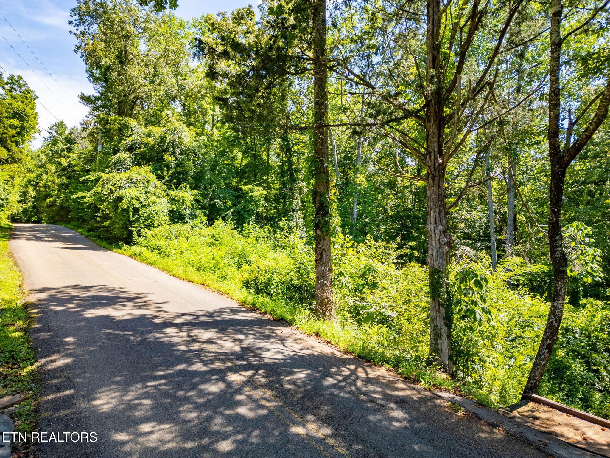 11452 Couch Mill Rd, Knoxville, TN - Fort Loudoun and Tellico Lake Real Estate - Image# 7