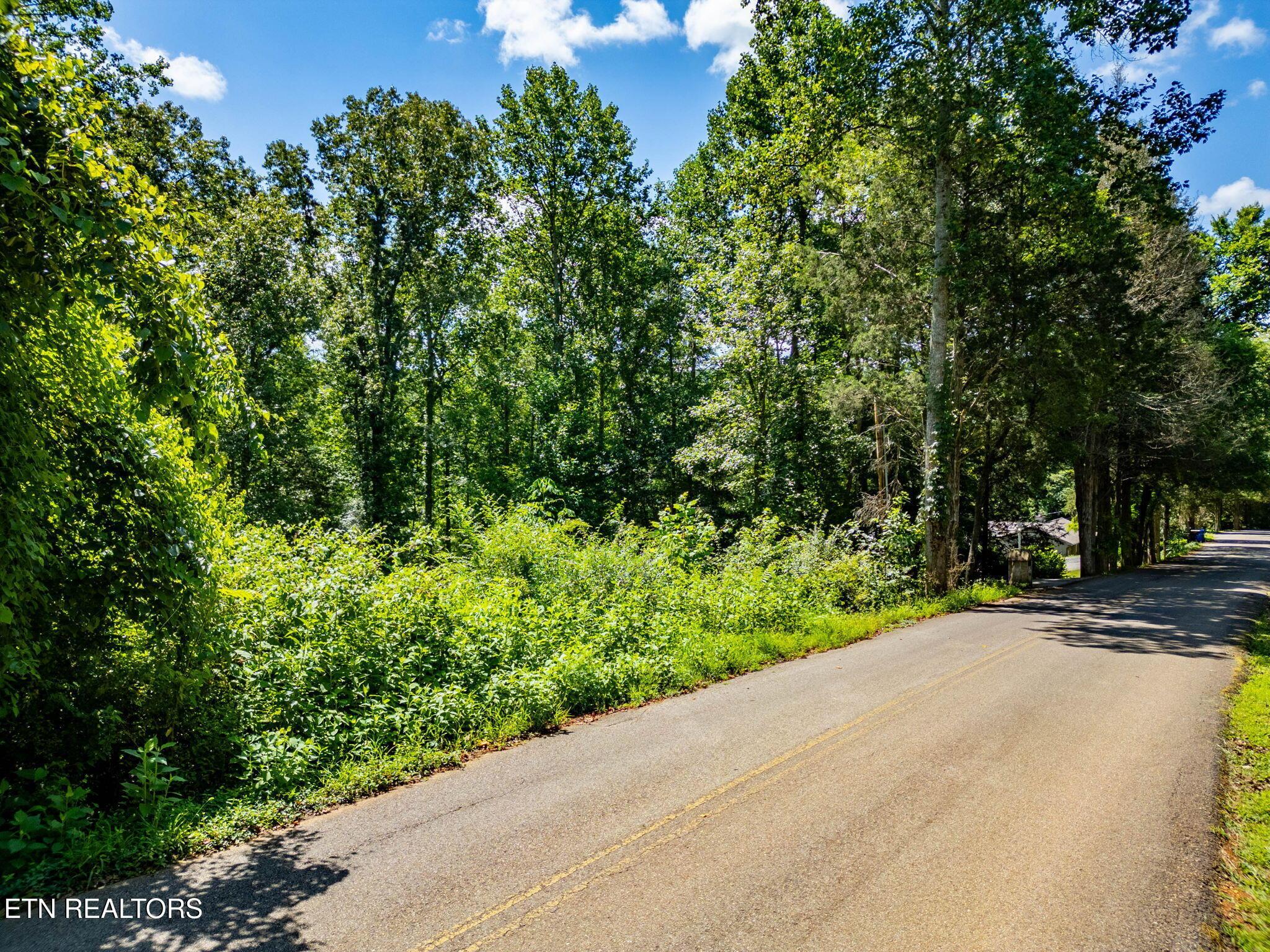 11452 Couch Mill Rd, Knoxville, TN - Fort Loudoun and Tellico Lake Real Estate - Image# 8