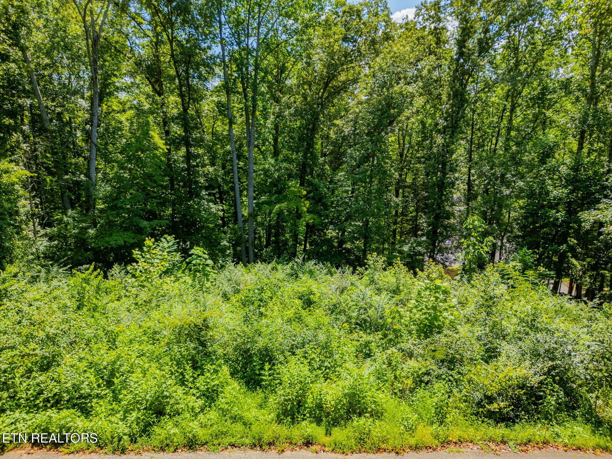 11452 Couch Mill Rd, Knoxville, TN - Fort Loudoun and Tellico Lake Real Estate - Image# 12