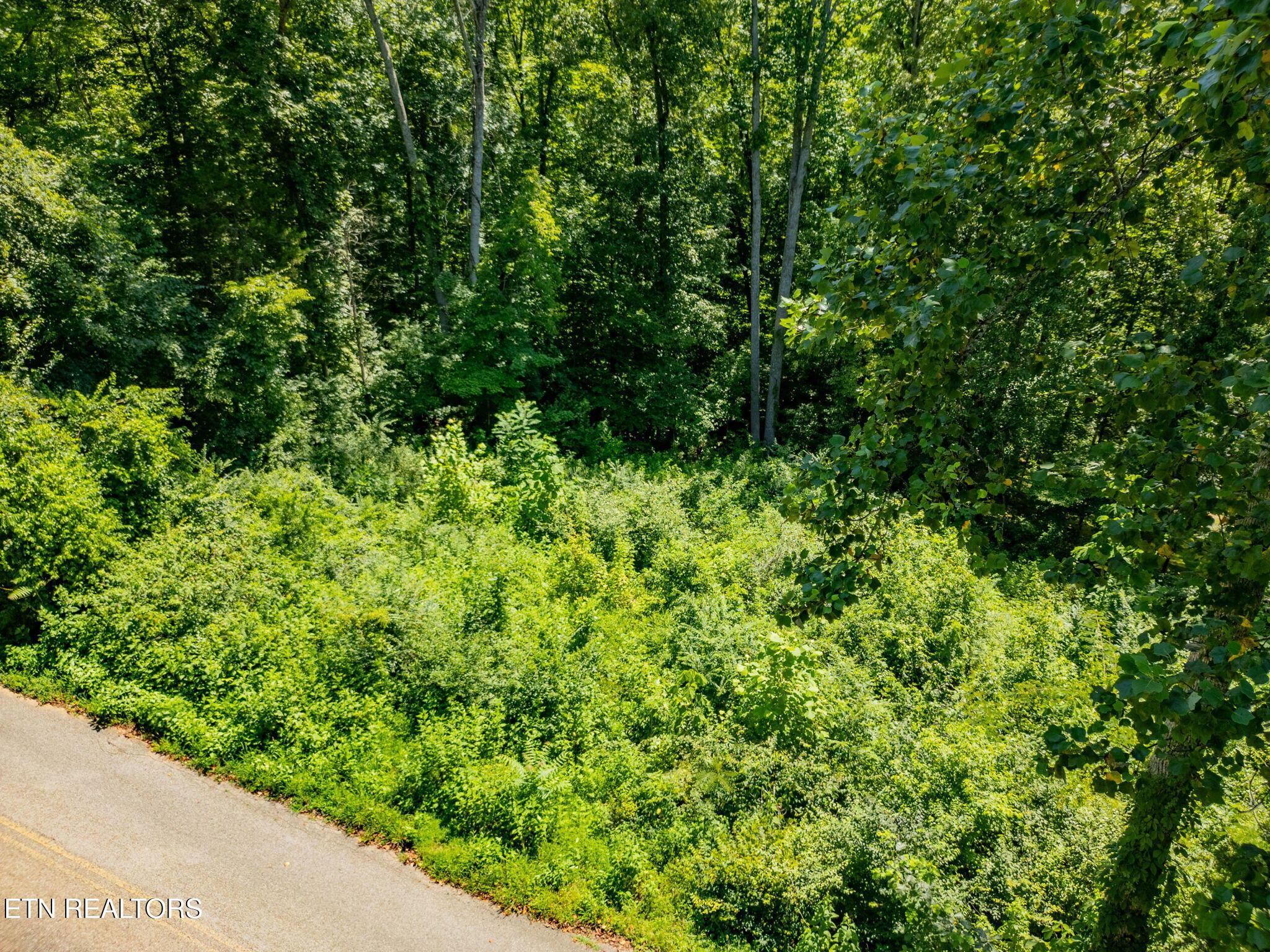 11452 Couch Mill Rd, Knoxville, TN - Fort Loudoun and Tellico Lake Real Estate - Image# 13
