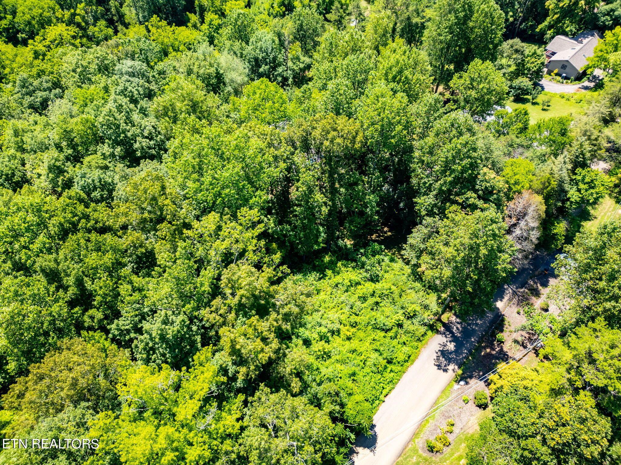 11452 Couch Mill Rd, Knoxville, TN - Fort Loudoun and Tellico Lake Real Estate - Image# 24