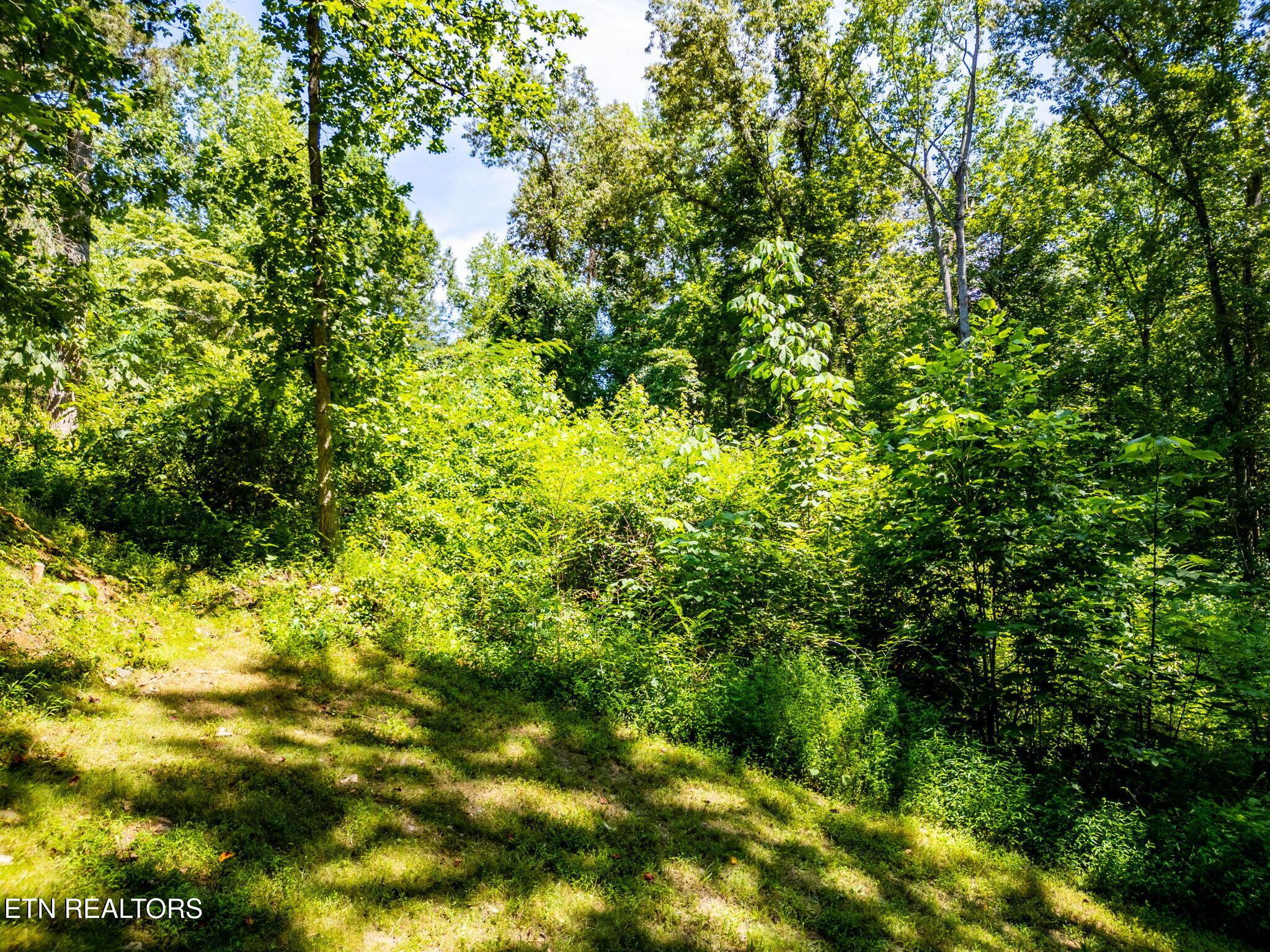 11452 Couch Mill Rd, Knoxville, TN - Fort Loudoun and Tellico Lake Real Estate - Image# 25