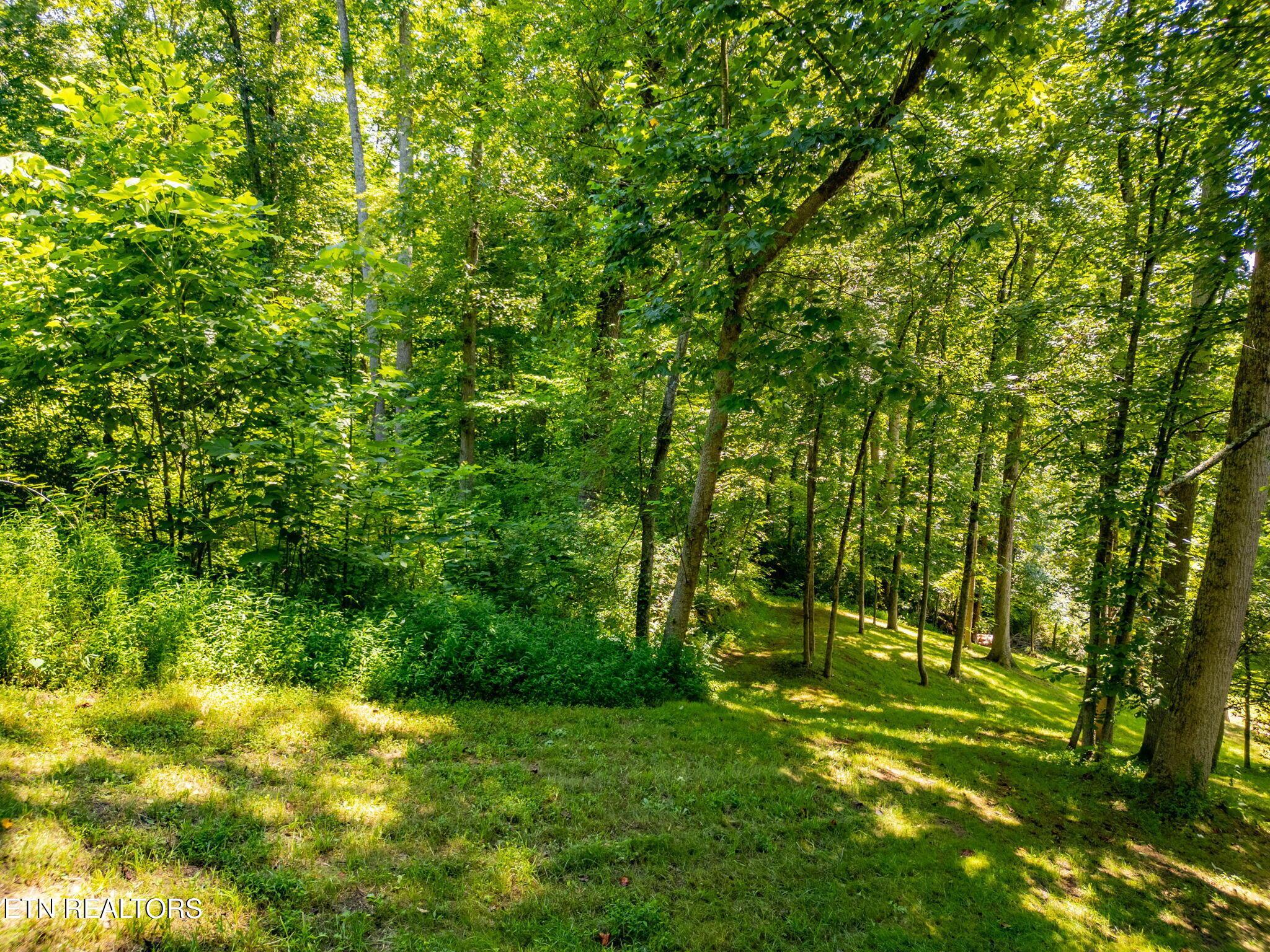11452 Couch Mill Rd, Knoxville, TN - Fort Loudoun and Tellico Lake Real Estate - Image# 26