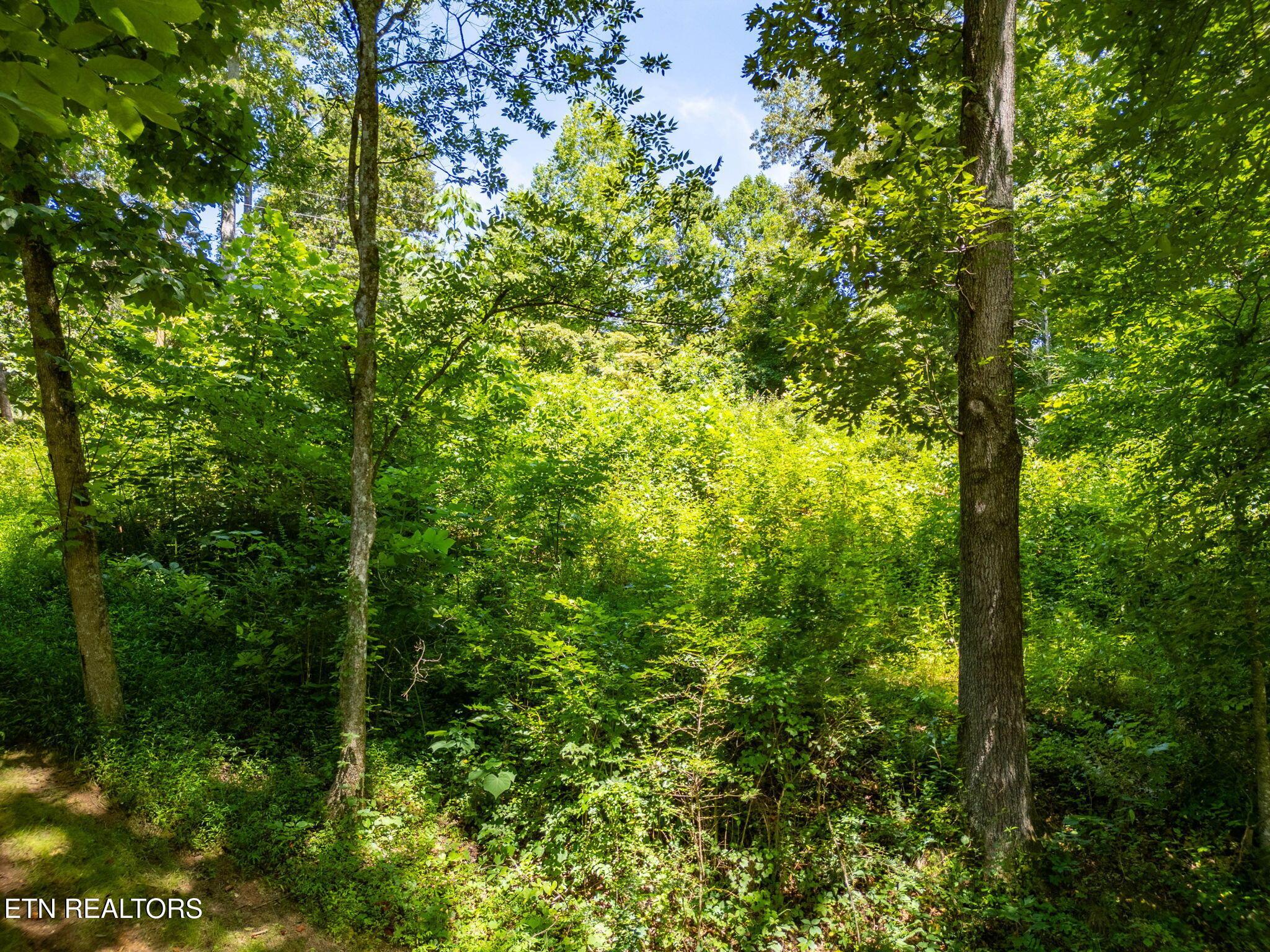 11452 Couch Mill Rd, Knoxville, TN - Fort Loudoun and Tellico Lake Real Estate - Image# 27