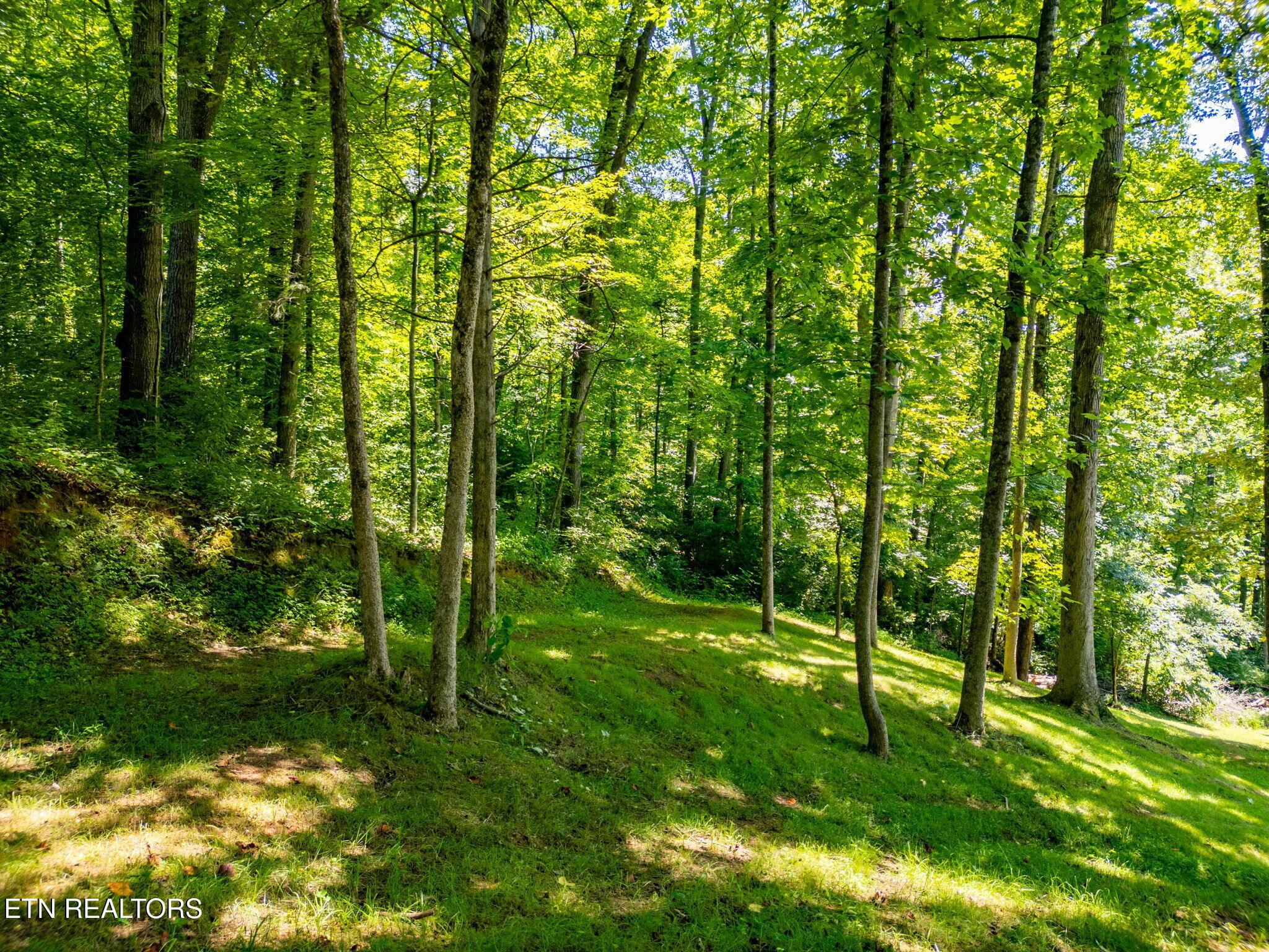 11452 Couch Mill Rd, Knoxville, TN - Fort Loudoun and Tellico Lake Real Estate - Image# 28