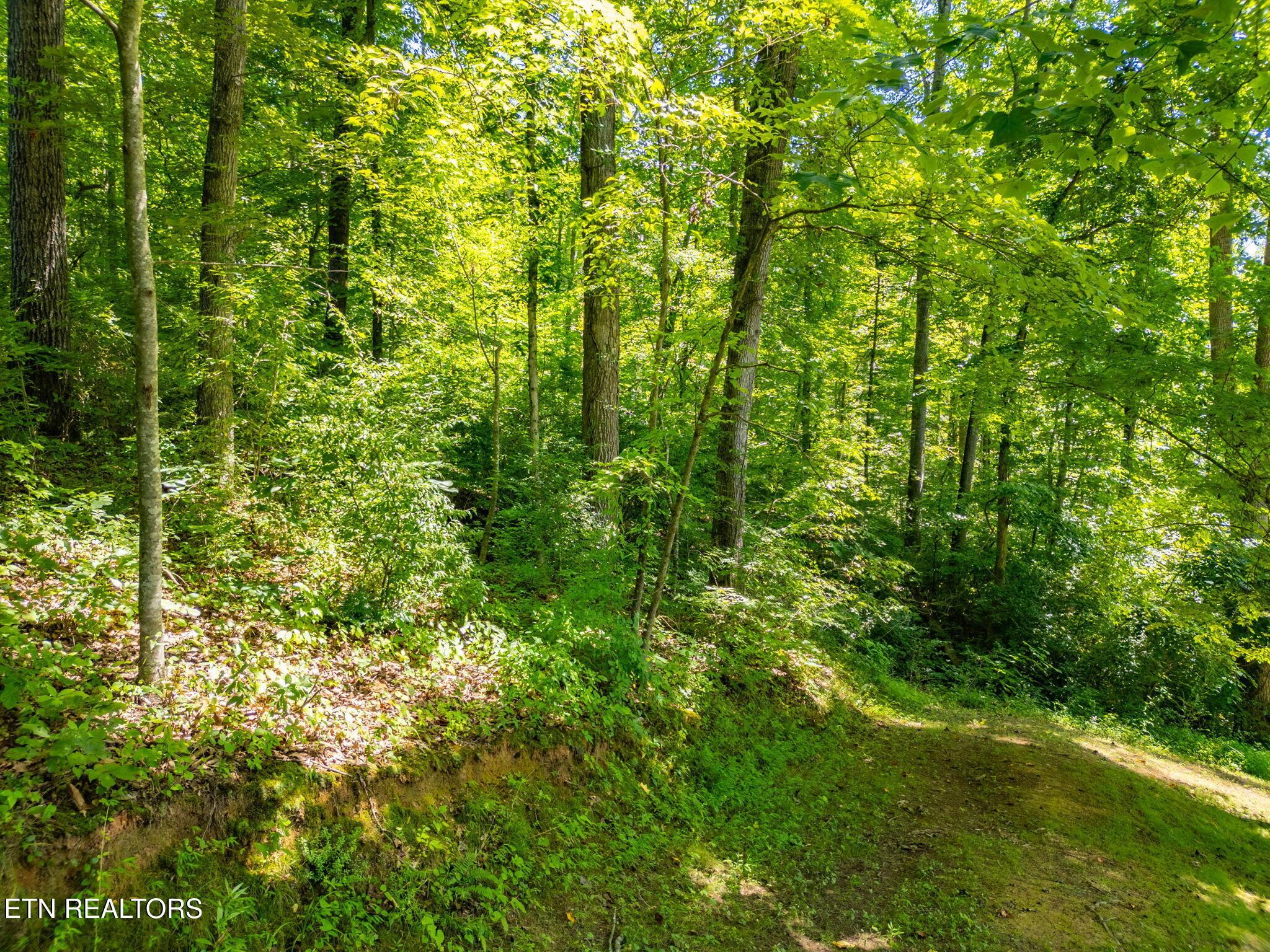 11452 Couch Mill Rd, Knoxville, TN - Fort Loudoun and Tellico Lake Real Estate - Image# 29