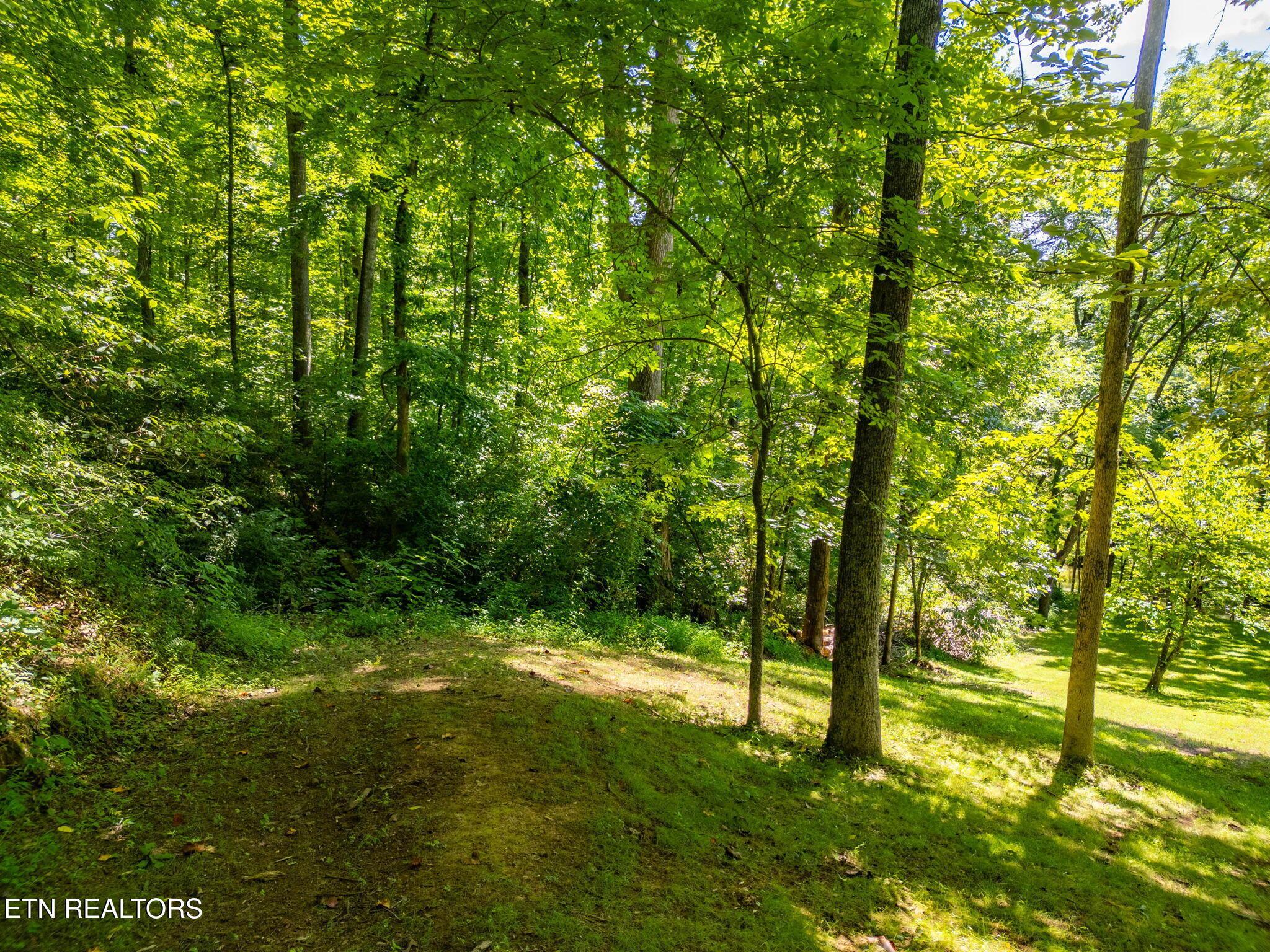 11452 Couch Mill Rd, Knoxville, TN - Fort Loudoun and Tellico Lake Real Estate - Image# 30
