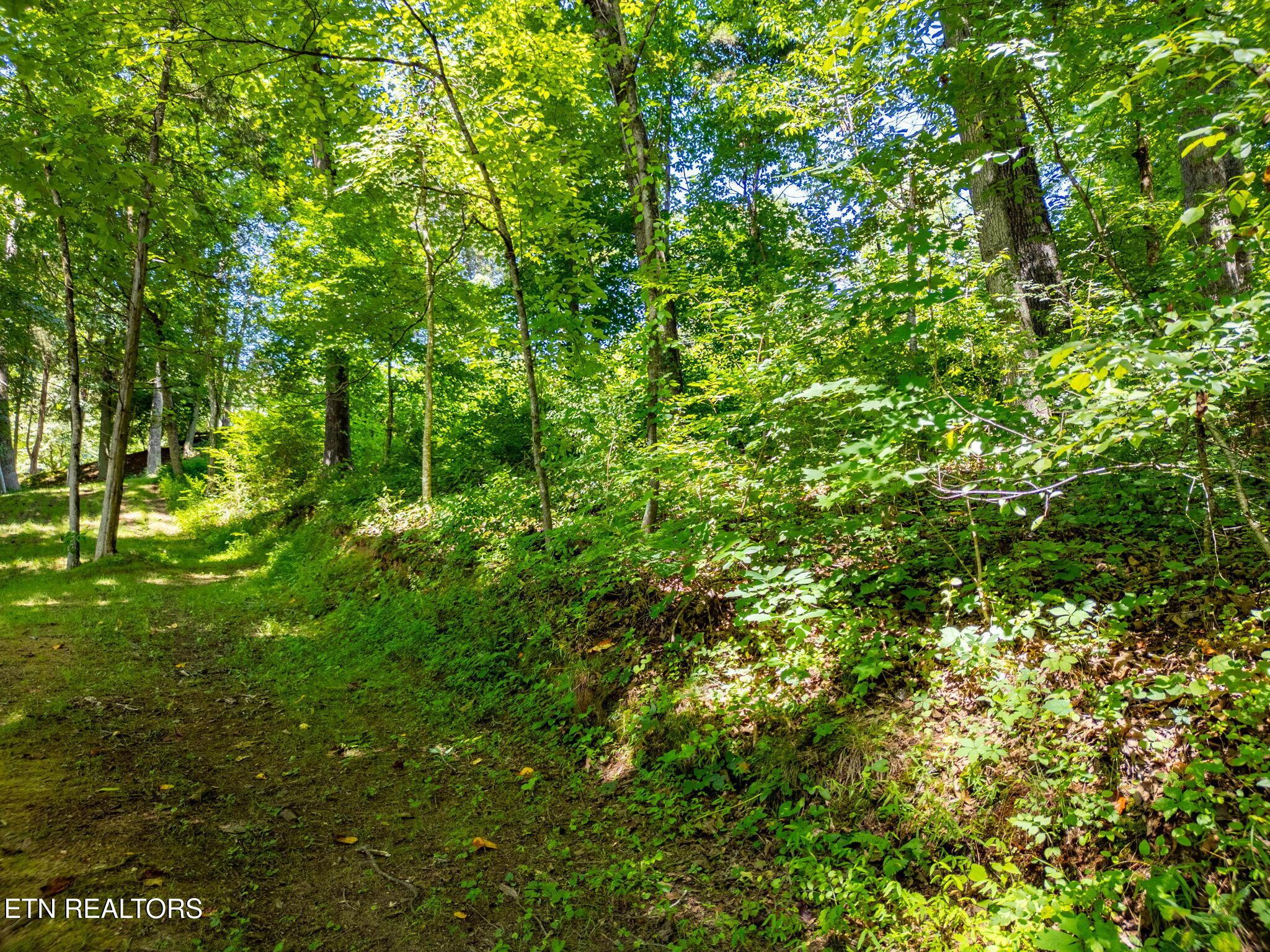 11452 Couch Mill Rd, Knoxville, TN - Fort Loudoun and Tellico Lake Real Estate - Image# 32