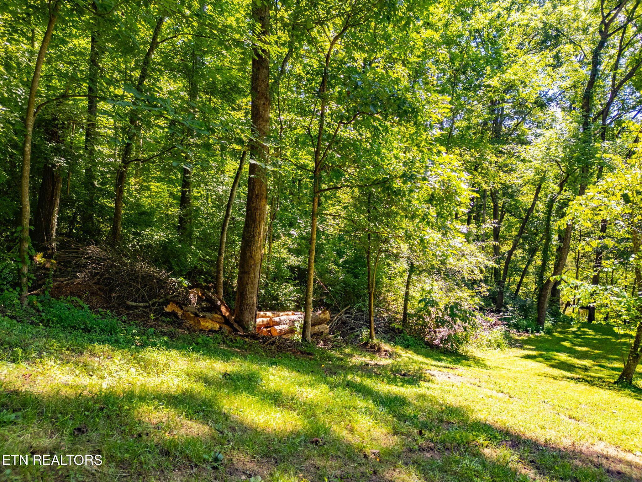 11452 Couch Mill Rd, Knoxville, TN - Fort Loudoun and Tellico Lake Real Estate - Image# 33