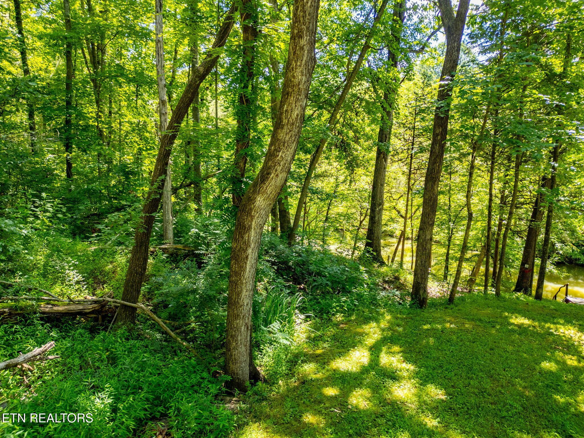 11452 Couch Mill Rd, Knoxville, TN - Fort Loudoun and Tellico Lake Real Estate - Image# 34