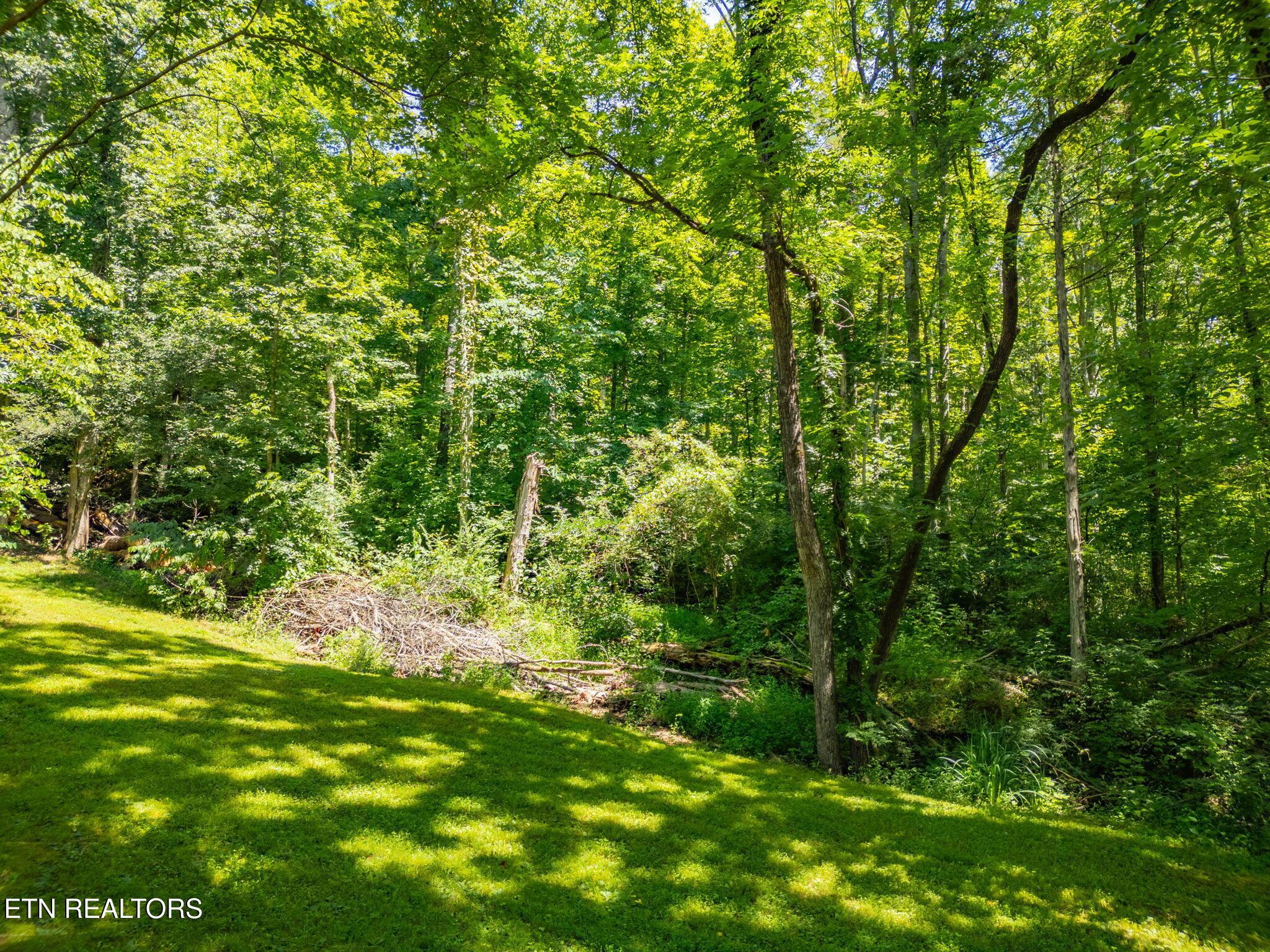 11452 Couch Mill Rd, Knoxville, TN - Fort Loudoun and Tellico Lake Real Estate - Image# 35