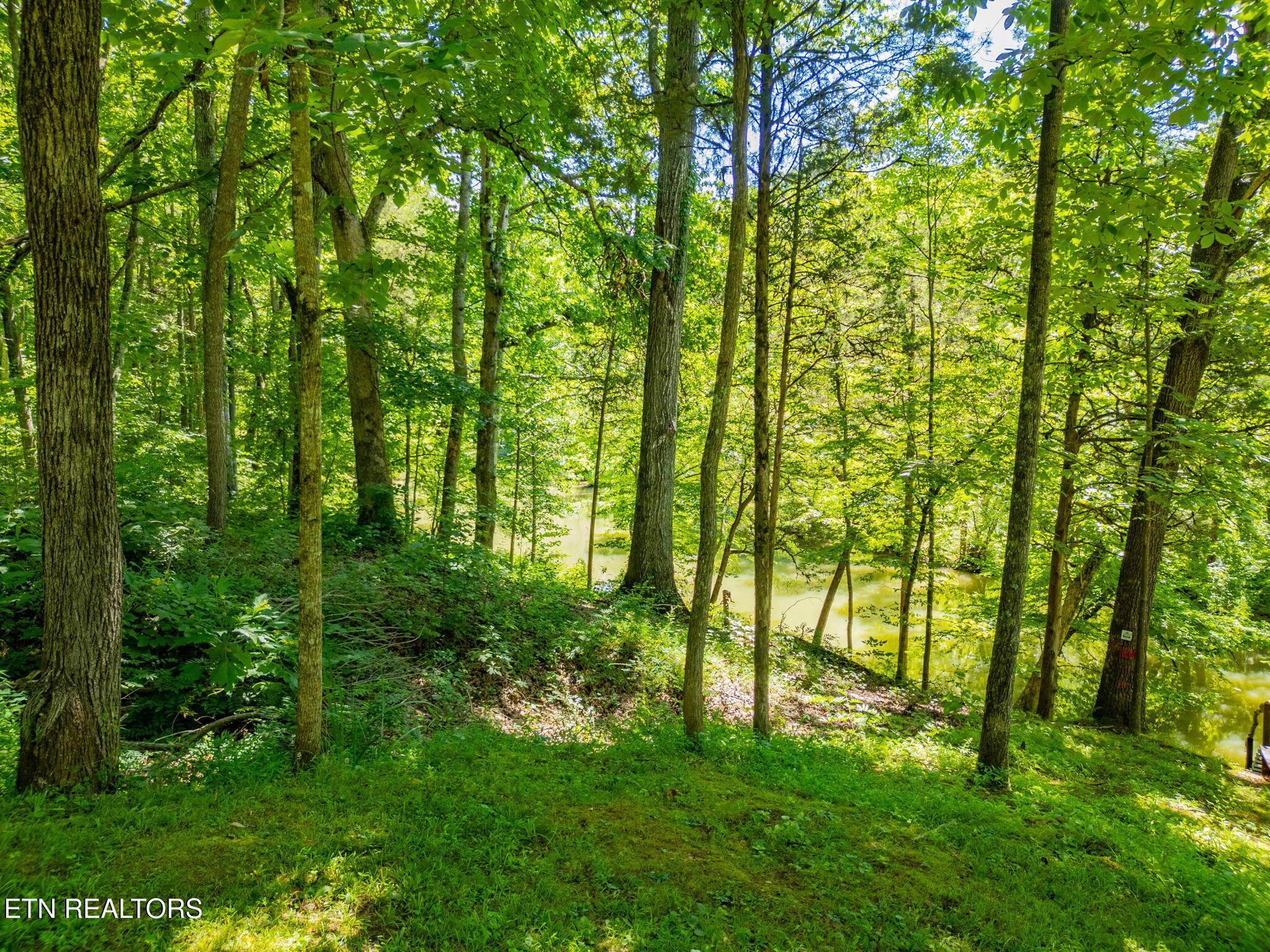 11452 Couch Mill Rd, Knoxville, TN - Fort Loudoun and Tellico Lake Real Estate - Image# 10