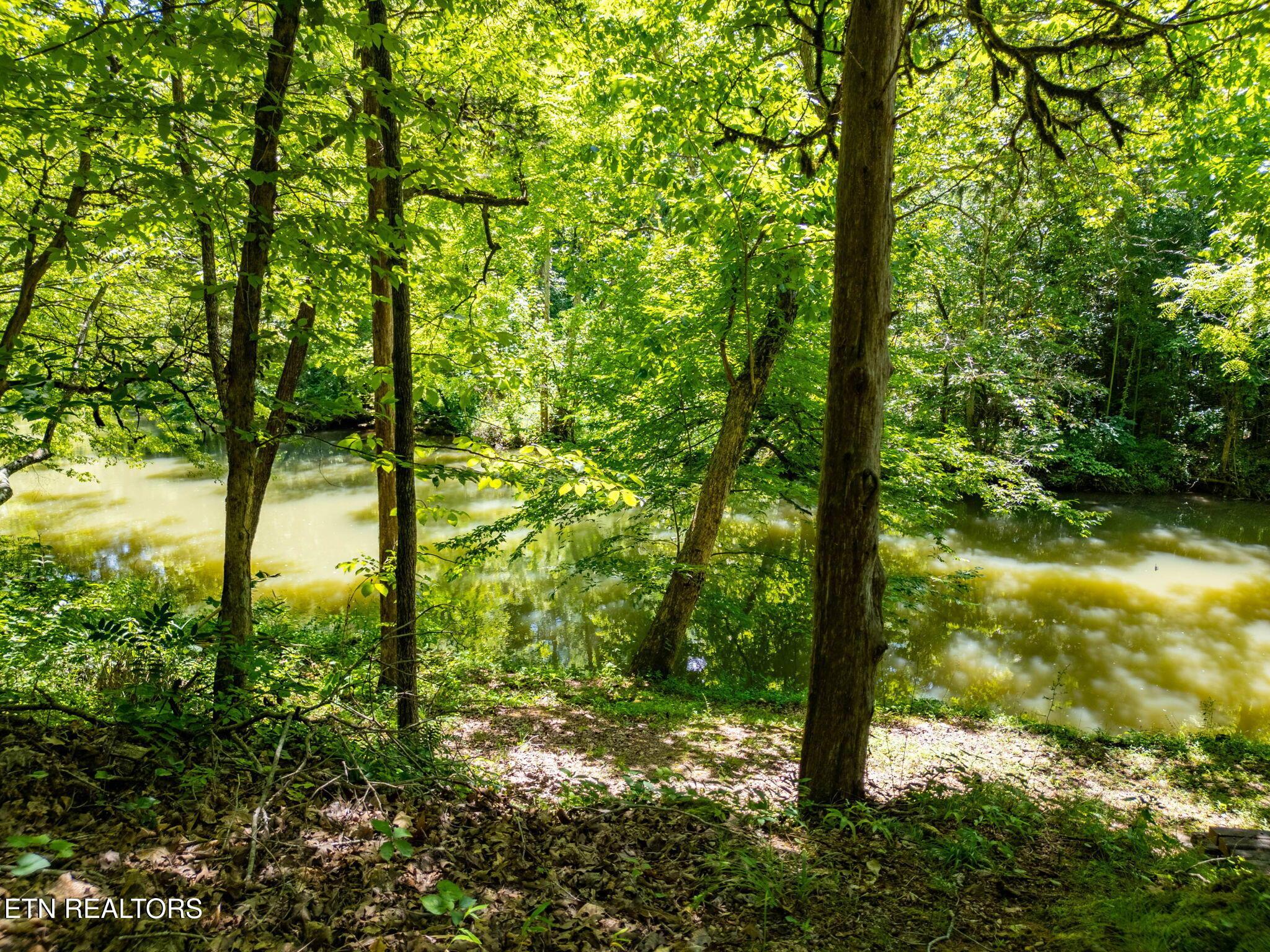 11452 Couch Mill Rd, Knoxville, TN - Fort Loudoun and Tellico Lake Real Estate - Image# 4