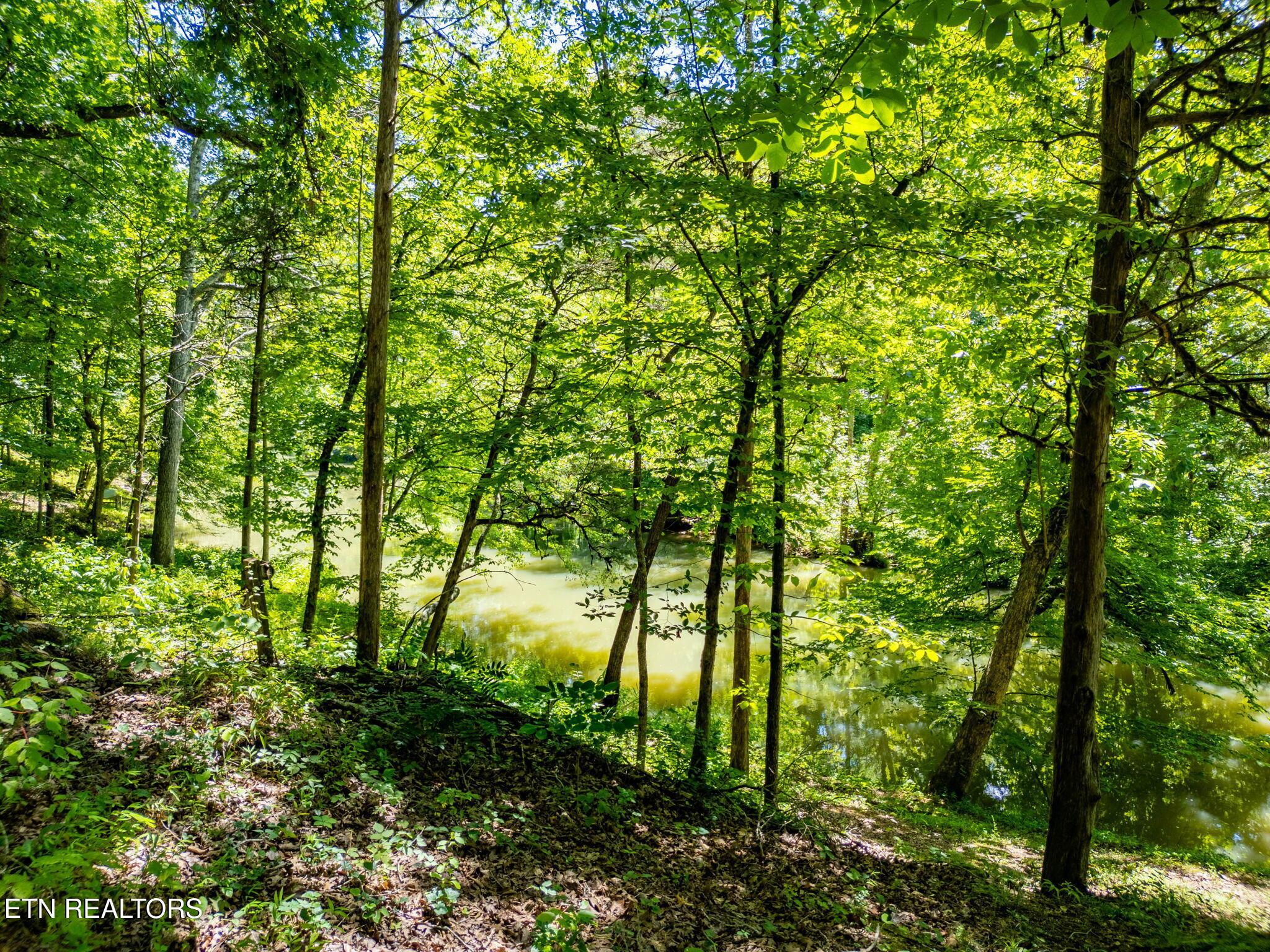 11452 Couch Mill Rd, Knoxville, TN - Fort Loudoun and Tellico Lake Real Estate - Image# 5