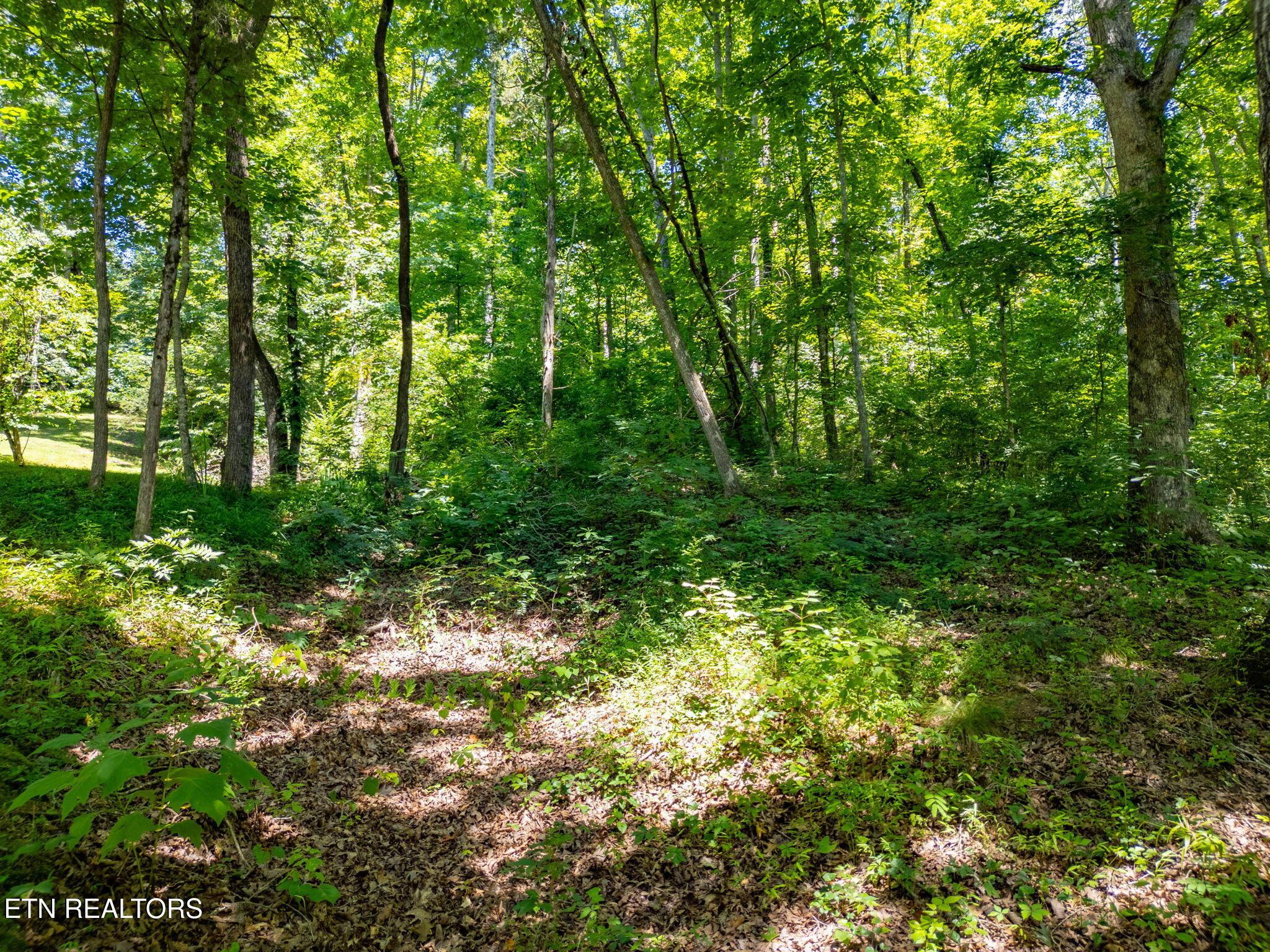 11452 Couch Mill Rd, Knoxville, TN - Fort Loudoun and Tellico Lake Real Estate - Image# 36