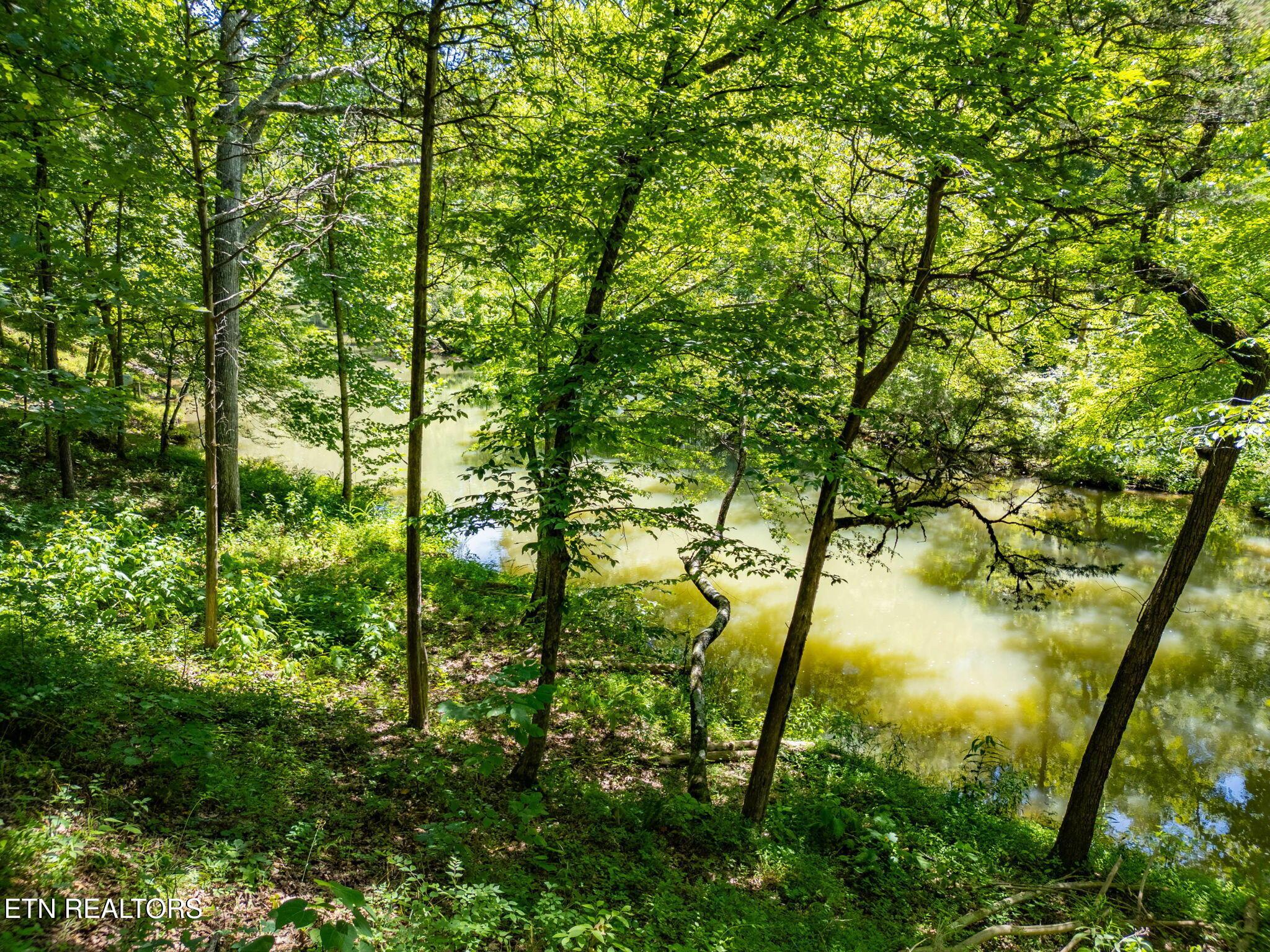 11452 Couch Mill Rd, Knoxville, TN - Fort Loudoun and Tellico Lake Real Estate - Image# 6