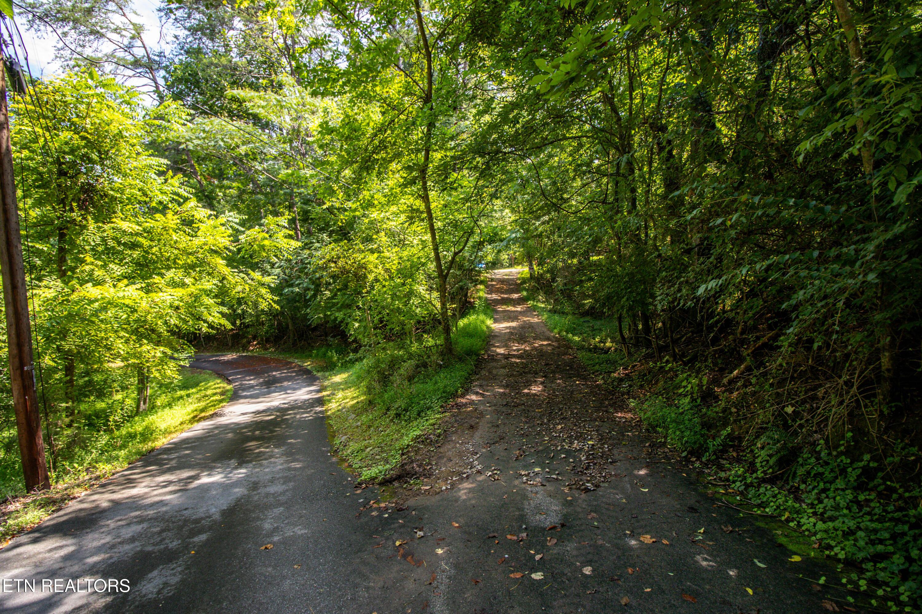 12116 Henry Frye Way, Knoxville, TN - Fort Loudoun and Tellico Lake Real Estate - Image# 1