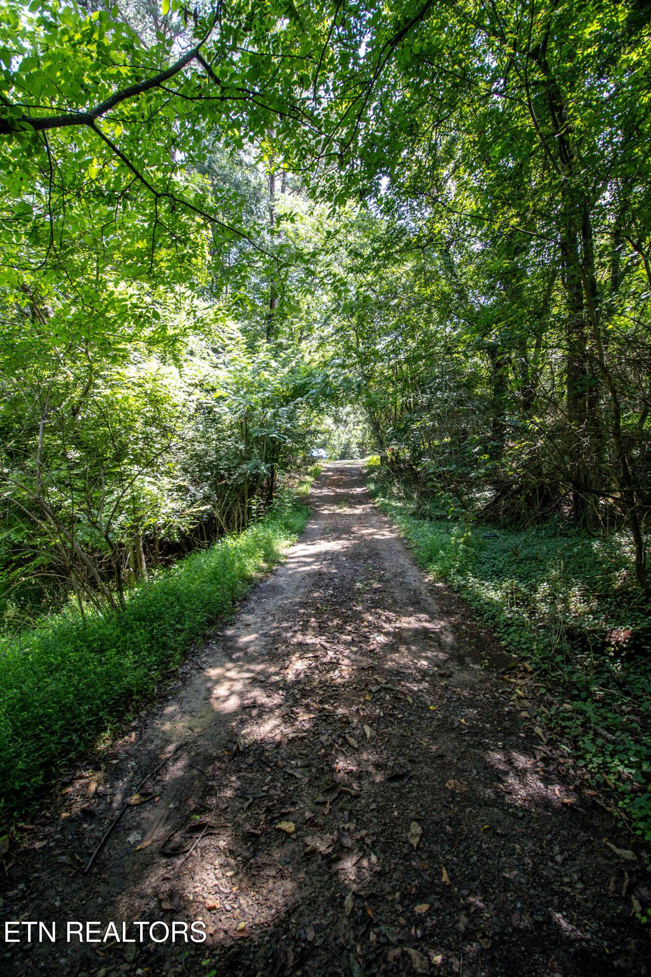 12116 Henry Frye Way, Knoxville, TN - Fort Loudoun and Tellico Lake Real Estate - Image# 2