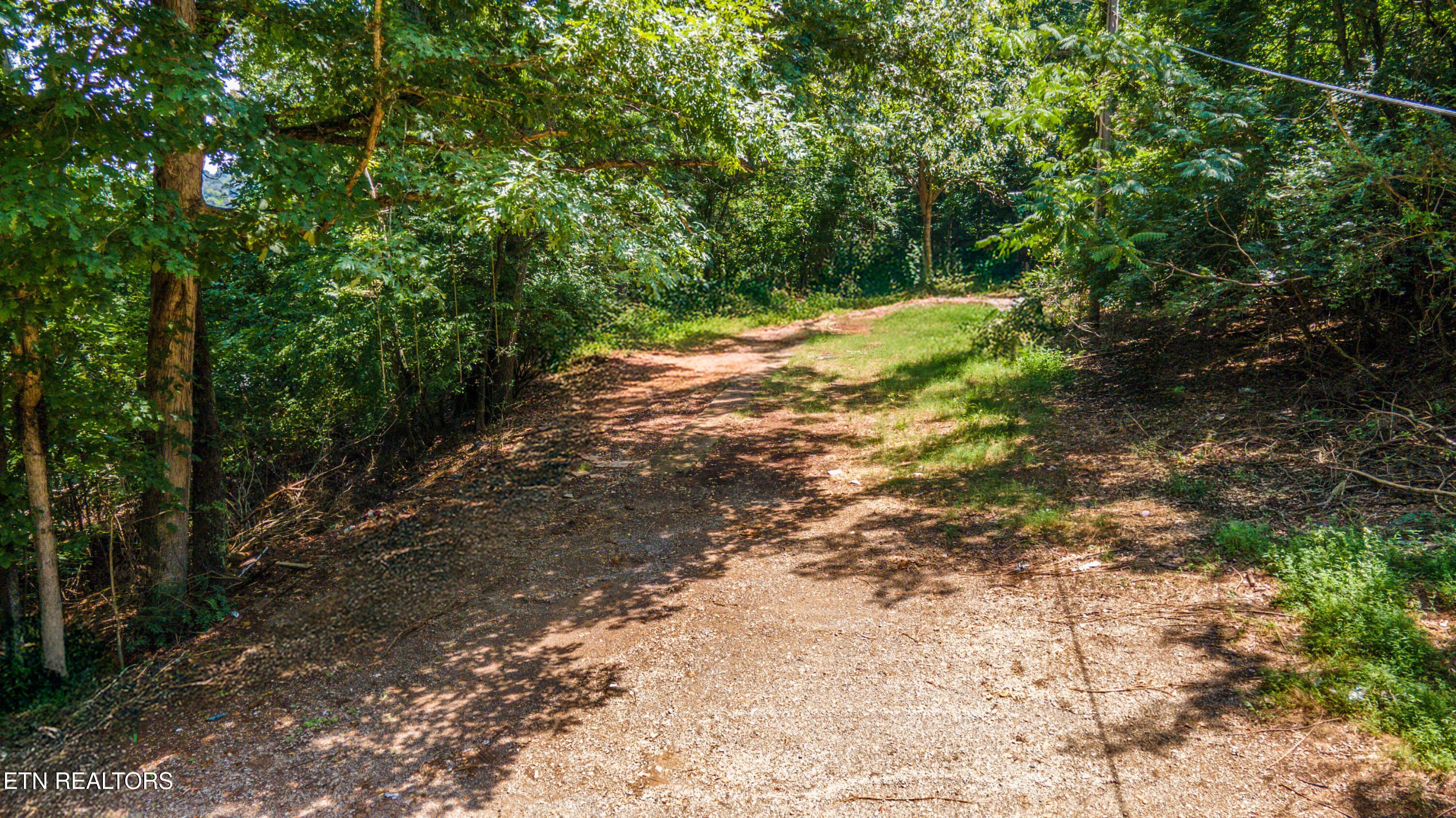 12116 Henry Frye Way, Knoxville, TN - Fort Loudoun and Tellico Lake Real Estate - Image# 5